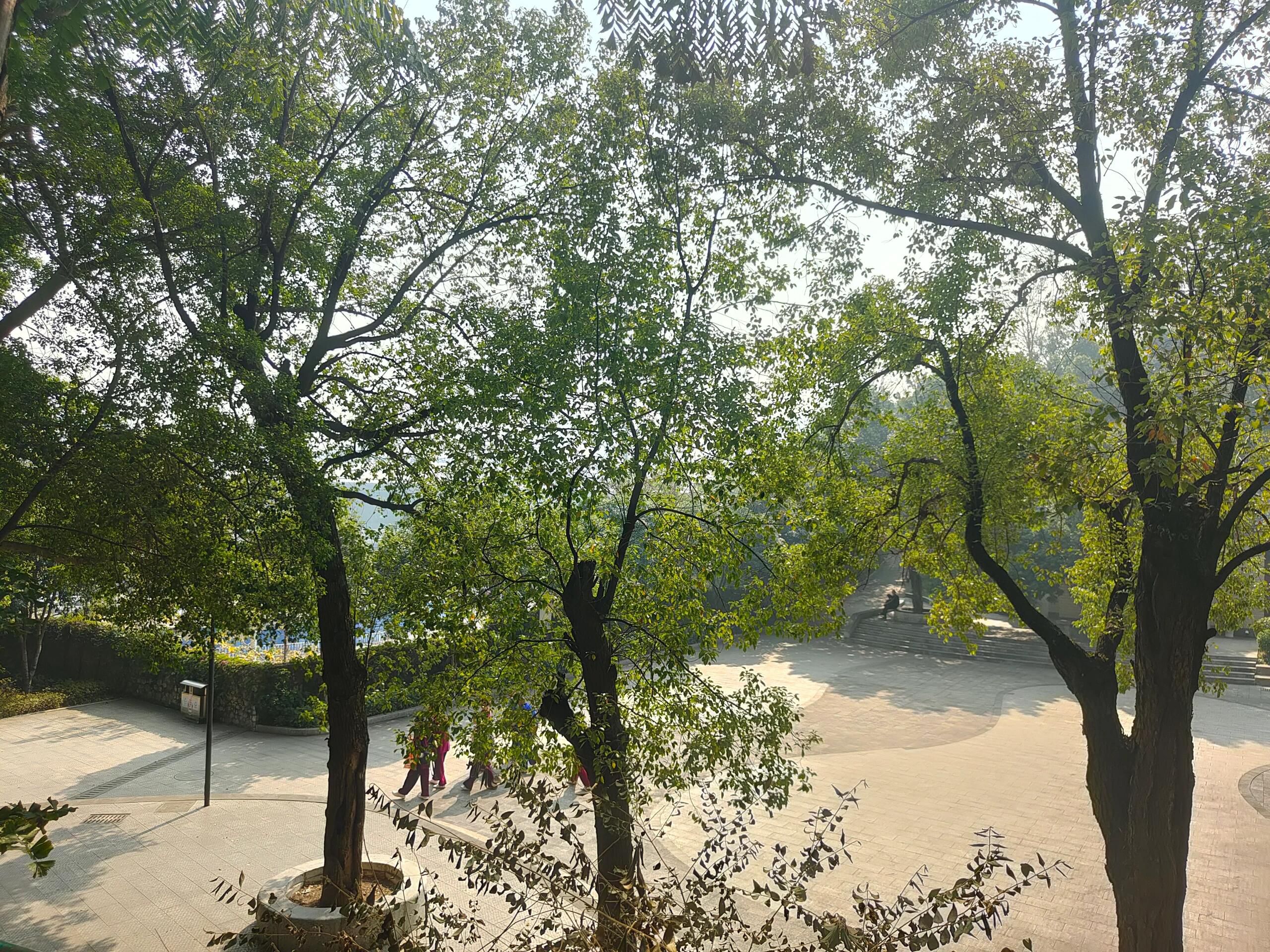 鹅山公园旅行图片 1