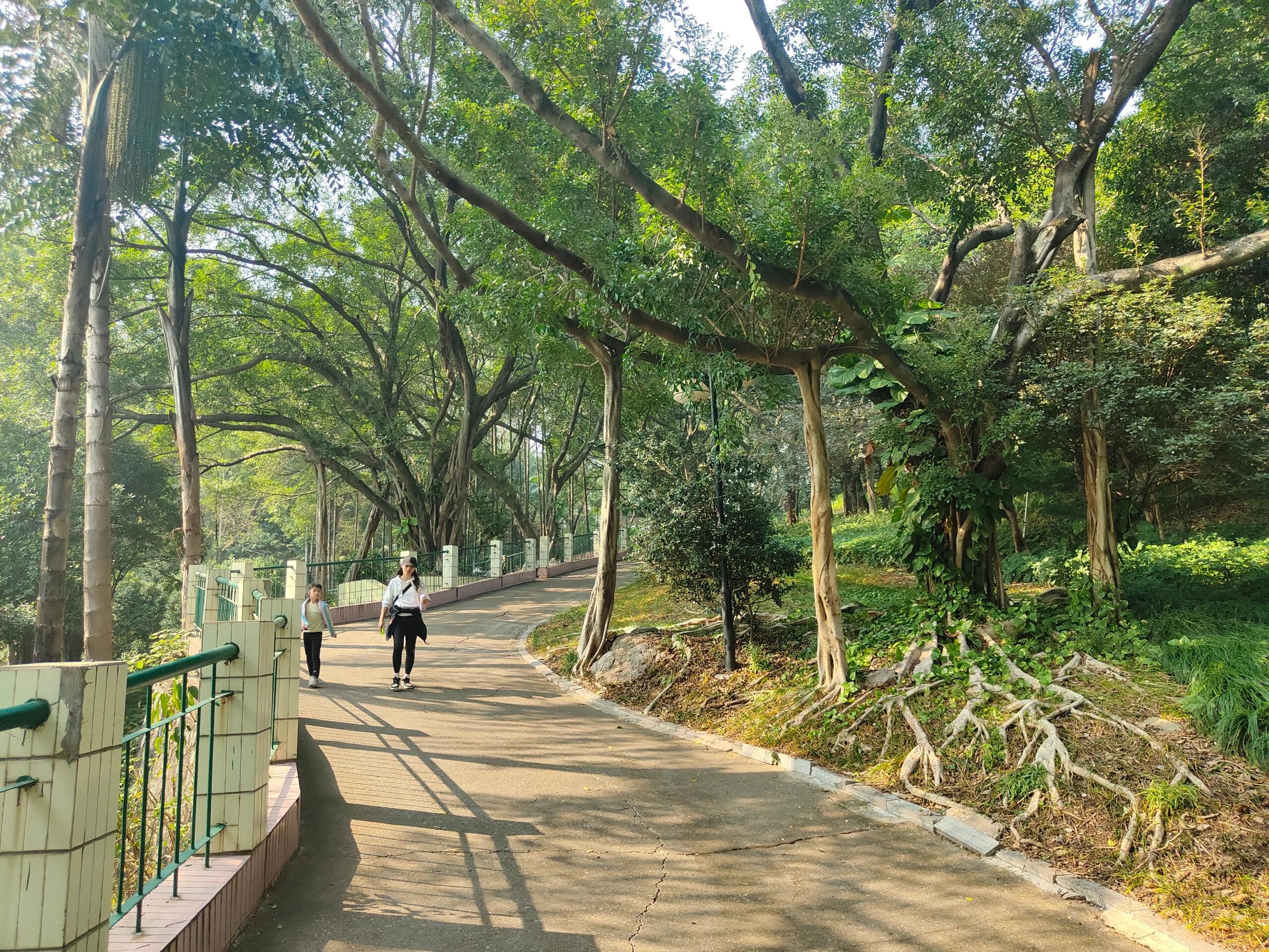 鹅山公园旅行图片 2