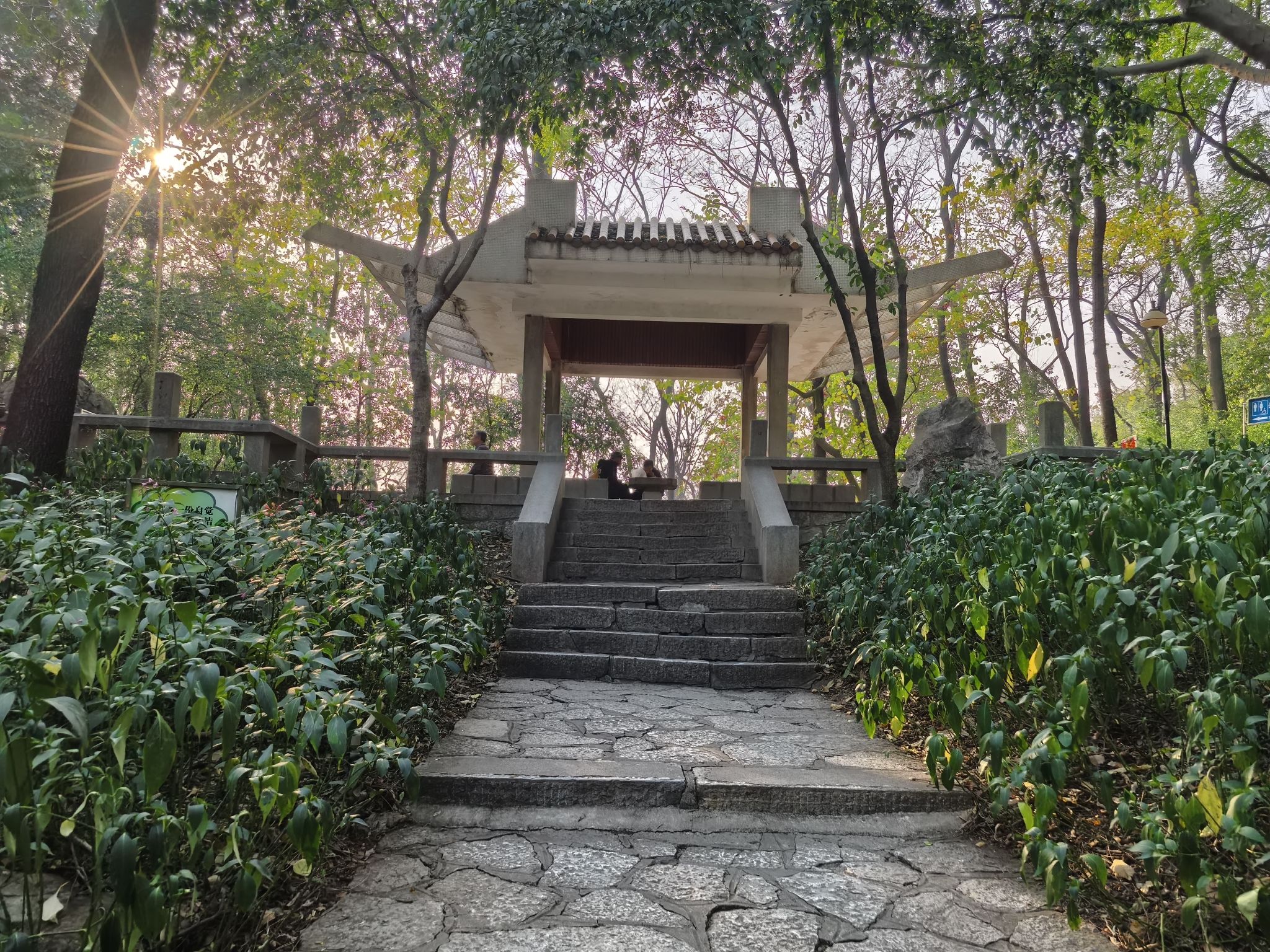鹅山公园旅行图片 3