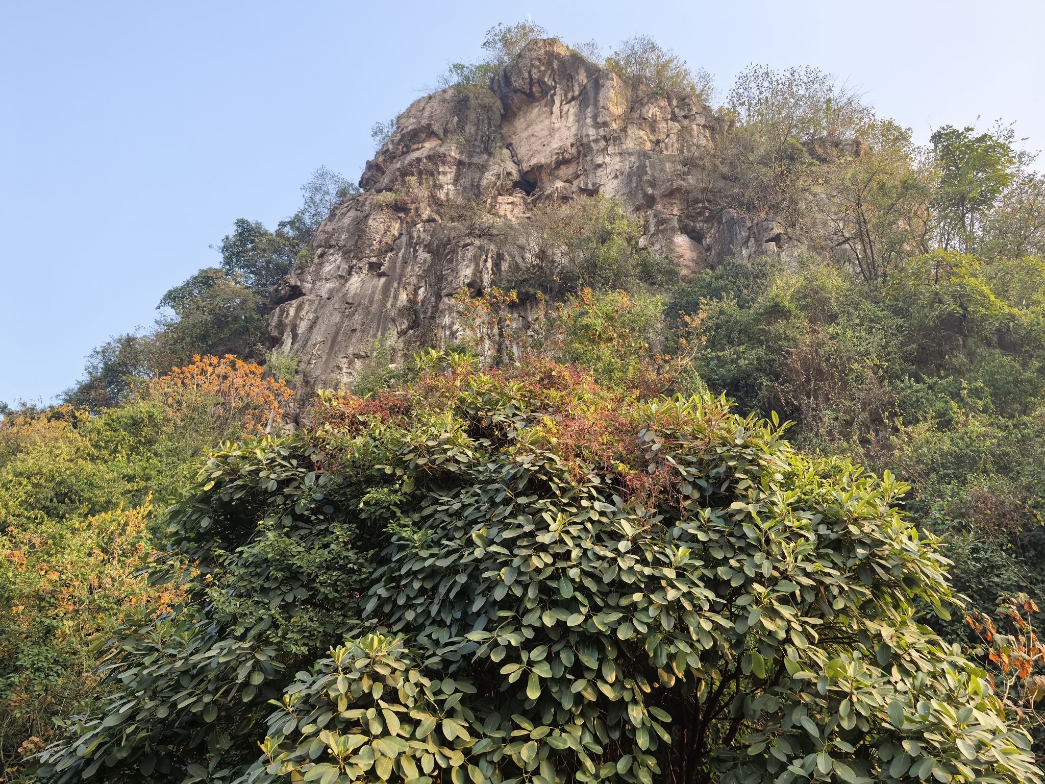 鹅山公园旅行图片 1