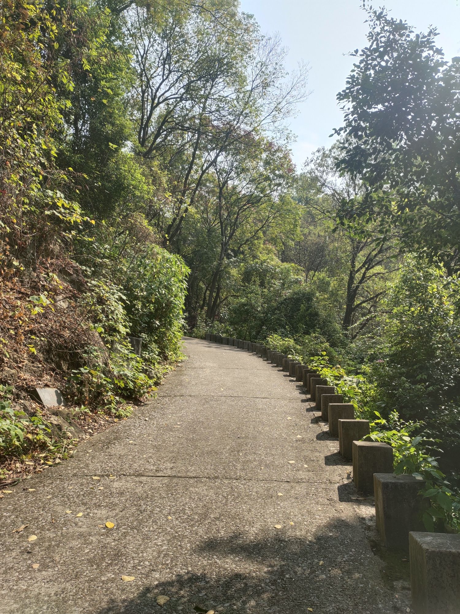 白岩山公园旅行图片 1