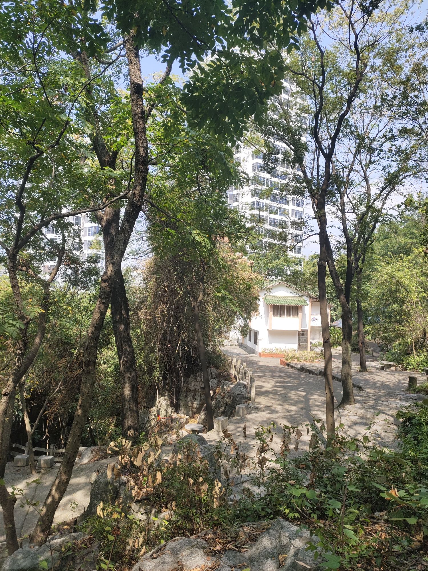 白岩山公园旅行图片 2