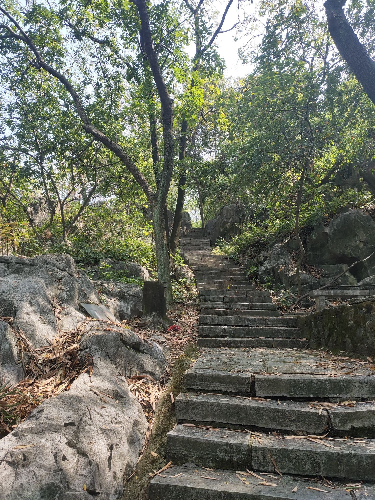 白岩山公园旅行图片 3
