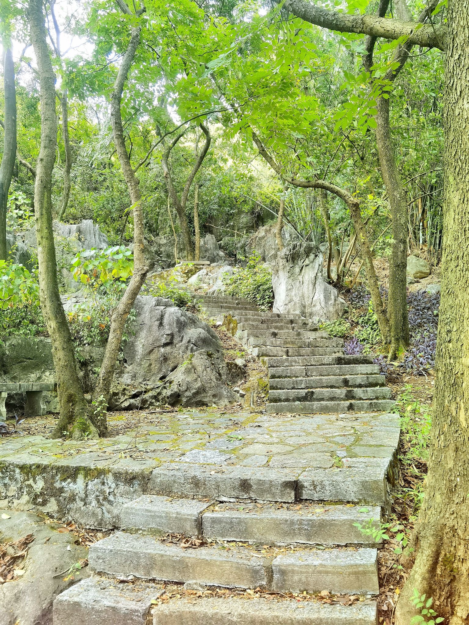 白岩山公园旅行图片 1