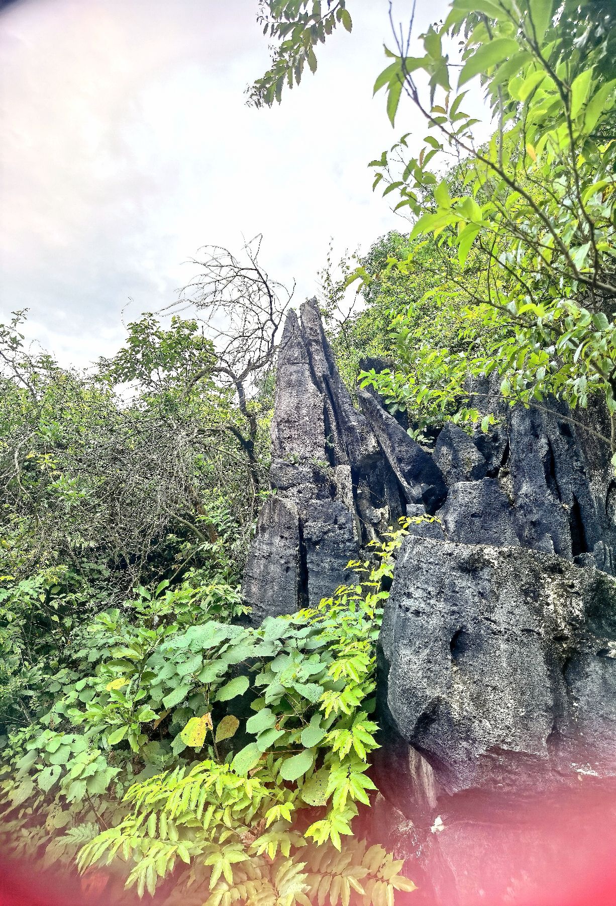 白岩山公园旅行图片 2