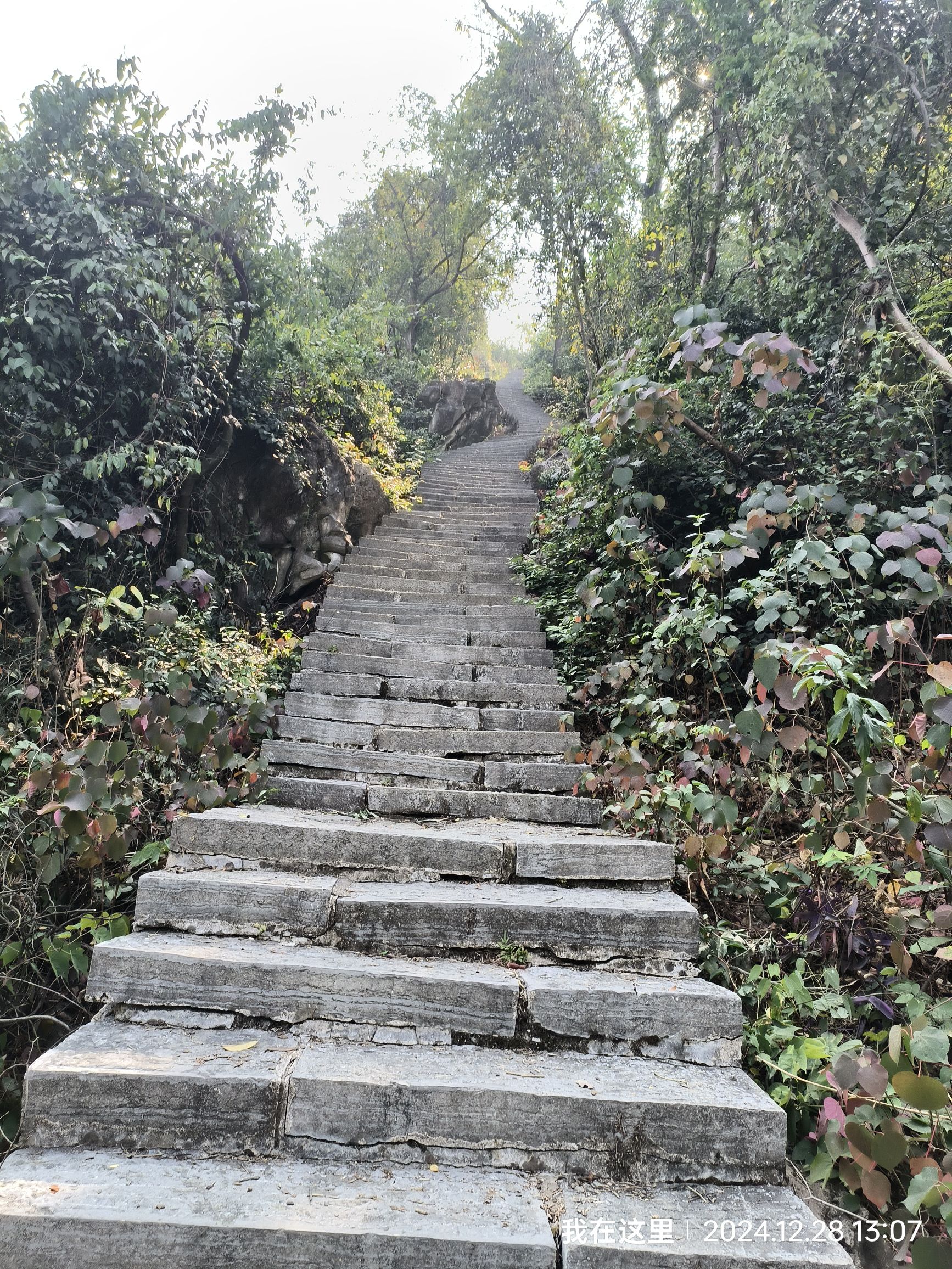 白岩山公园旅行图片 3
