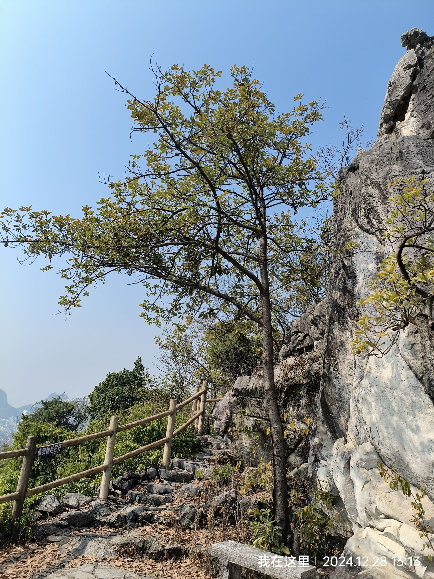 白岩山公园旅行图片 2