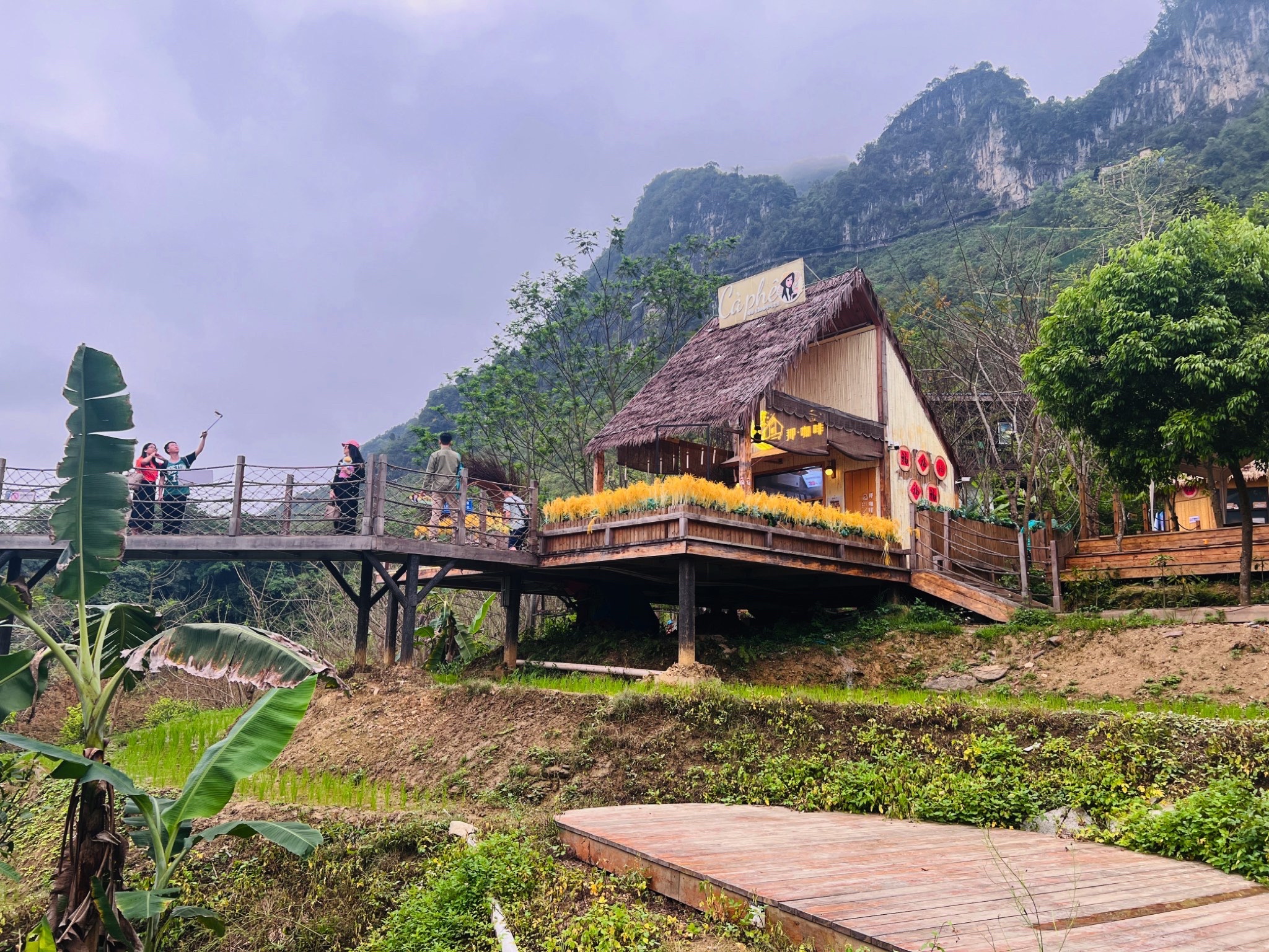 柳堤旅行图片 1