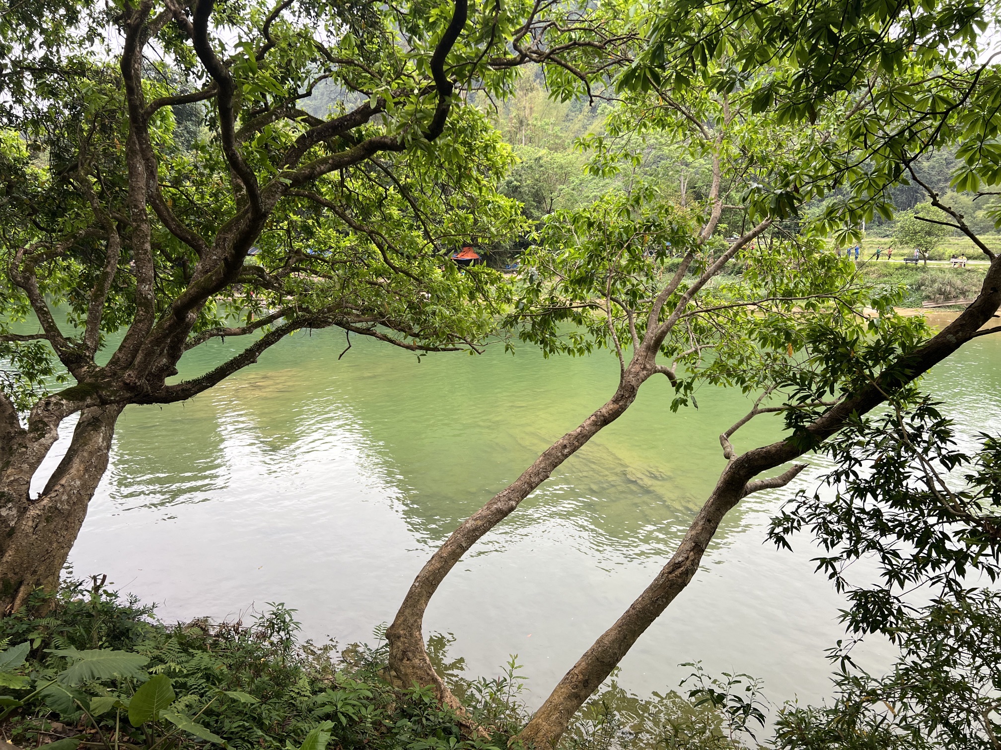 柳堤旅行图片 3
