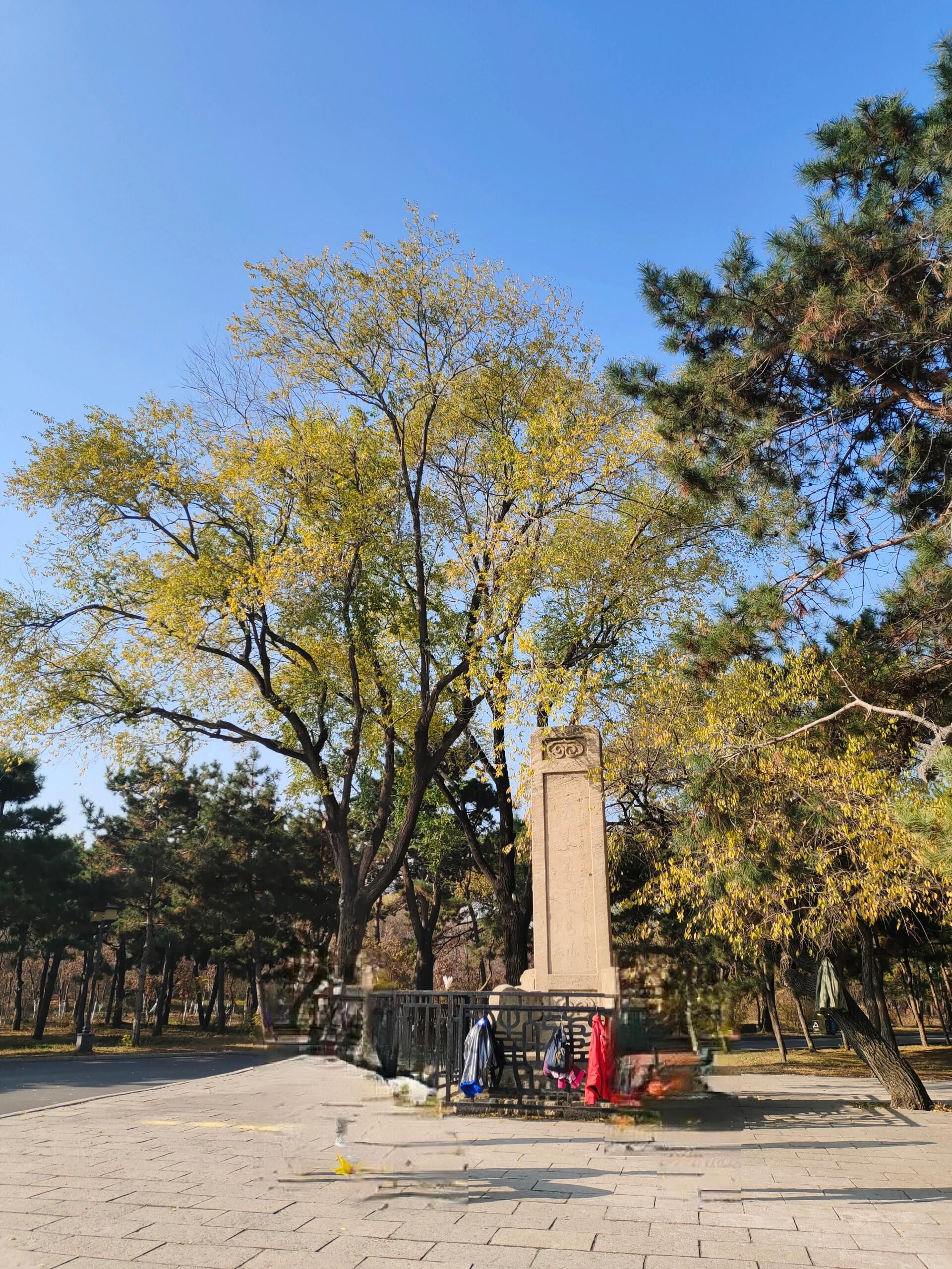 柳堤旅行图片 1
