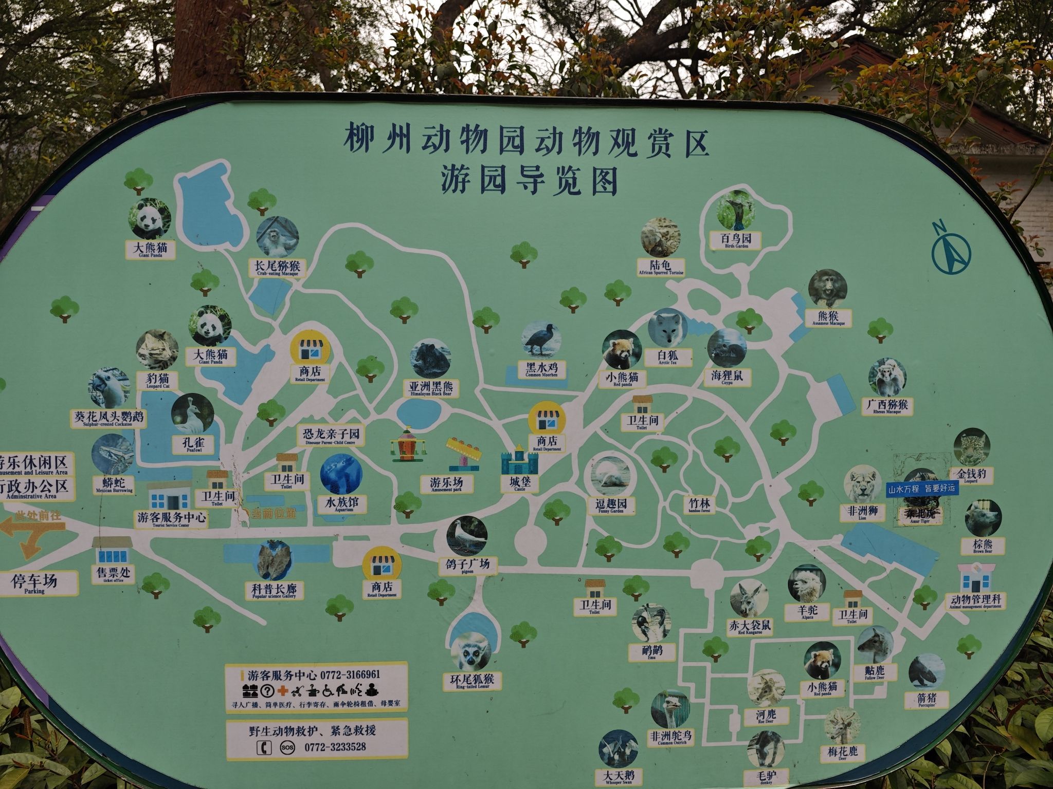 柳州动物园旅行图片 1