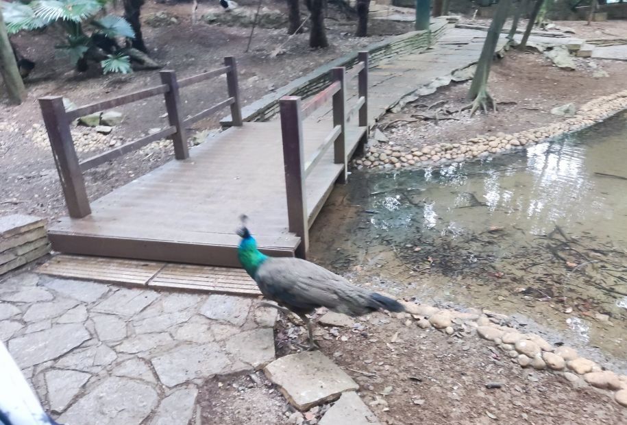 柳州动物园旅行图片 3