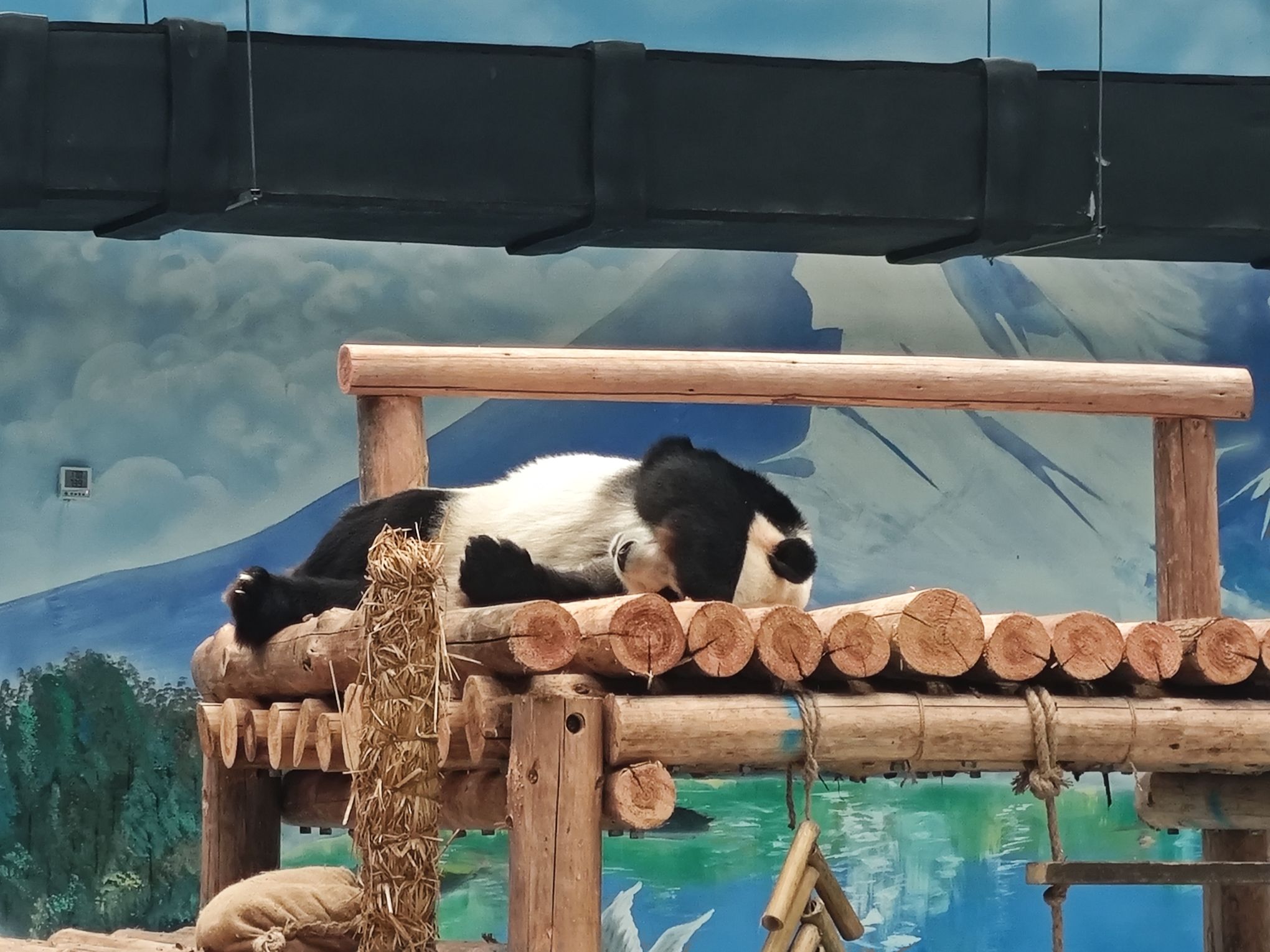 柳州动物园旅行图片 3