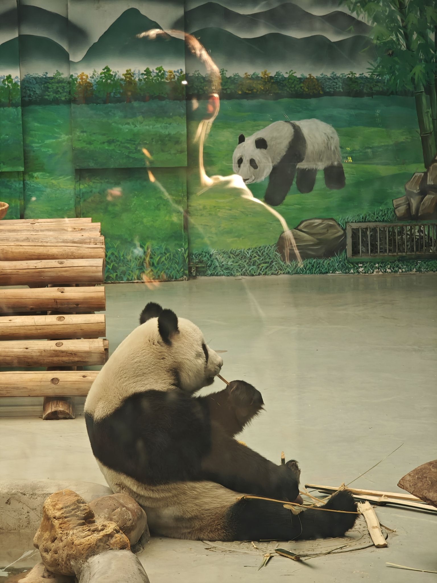 柳州动物园旅行图片 2