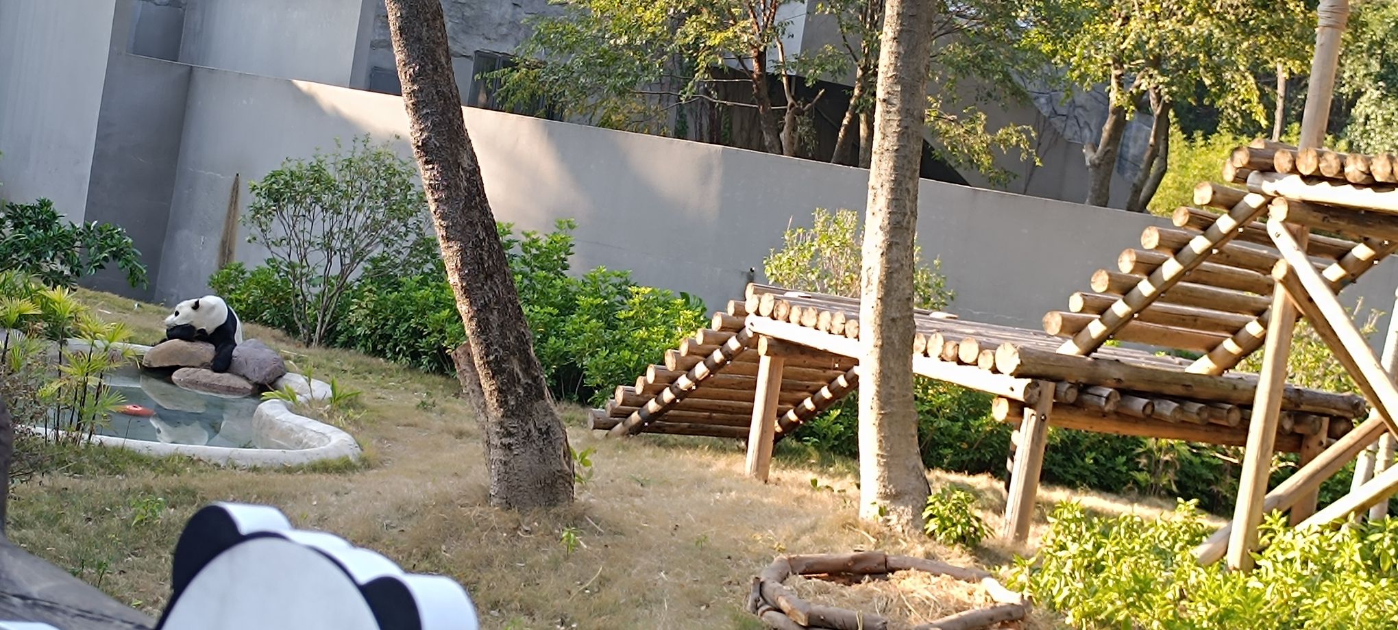 柳州动物园旅行图片 1