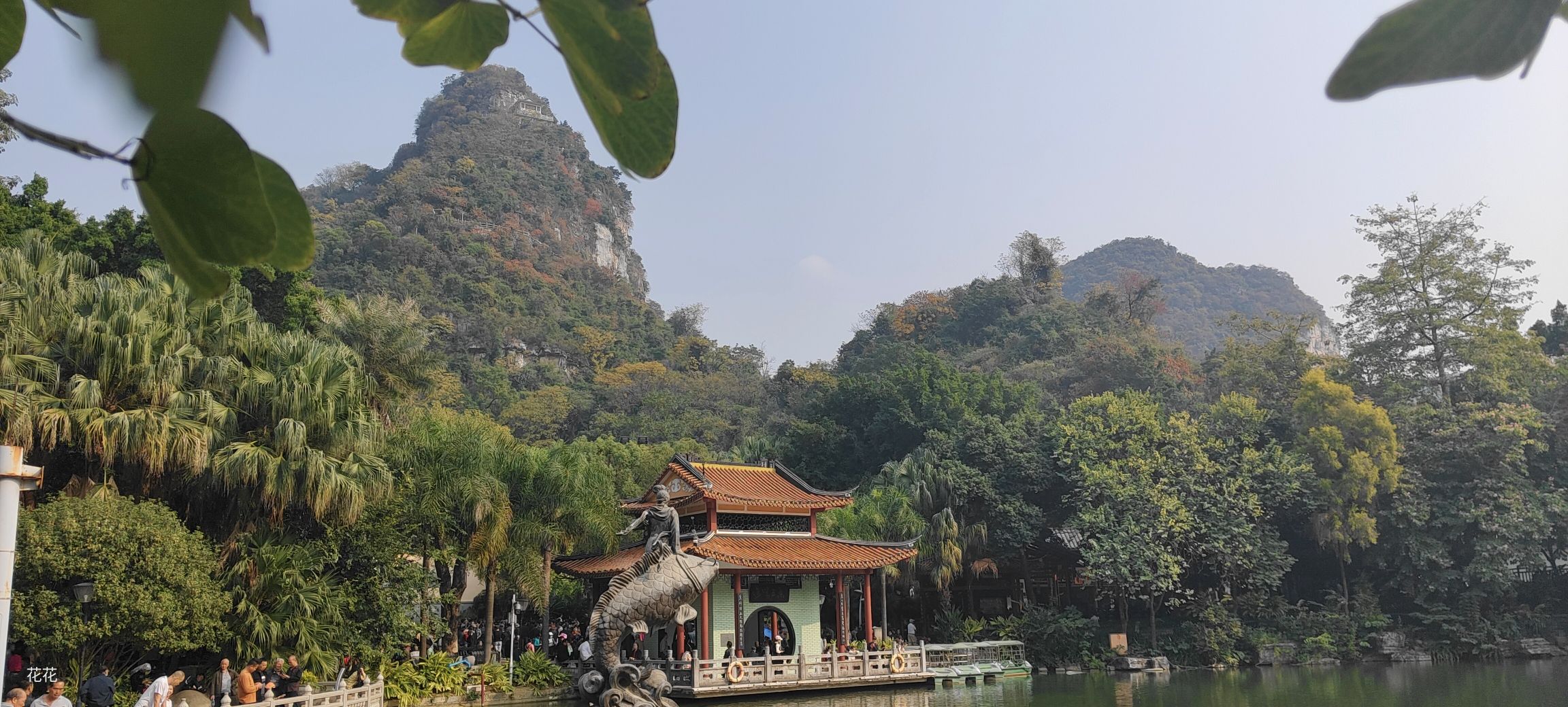 鱼峰公园旅行图片 1