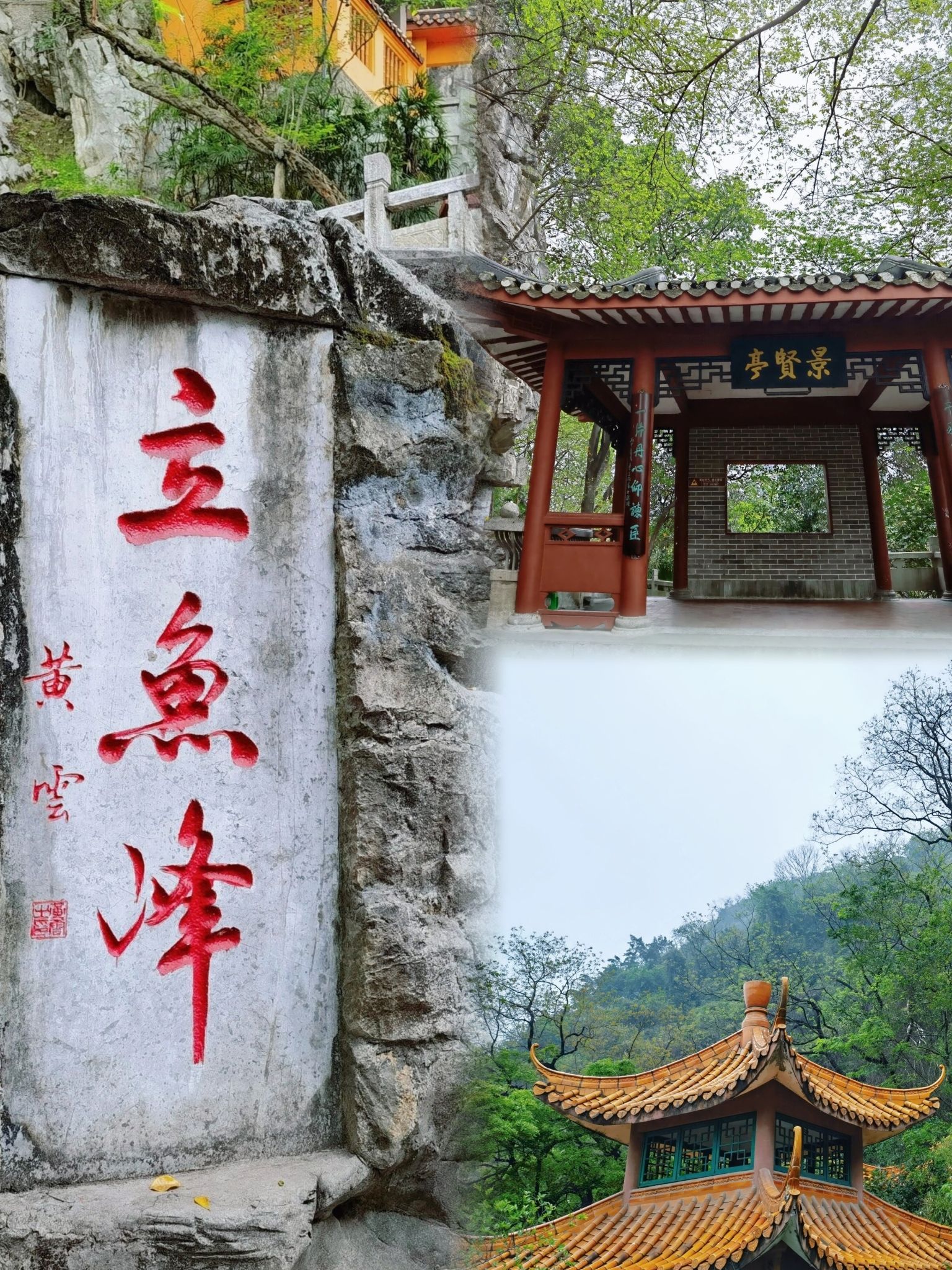 鱼峰公园旅行图片 1