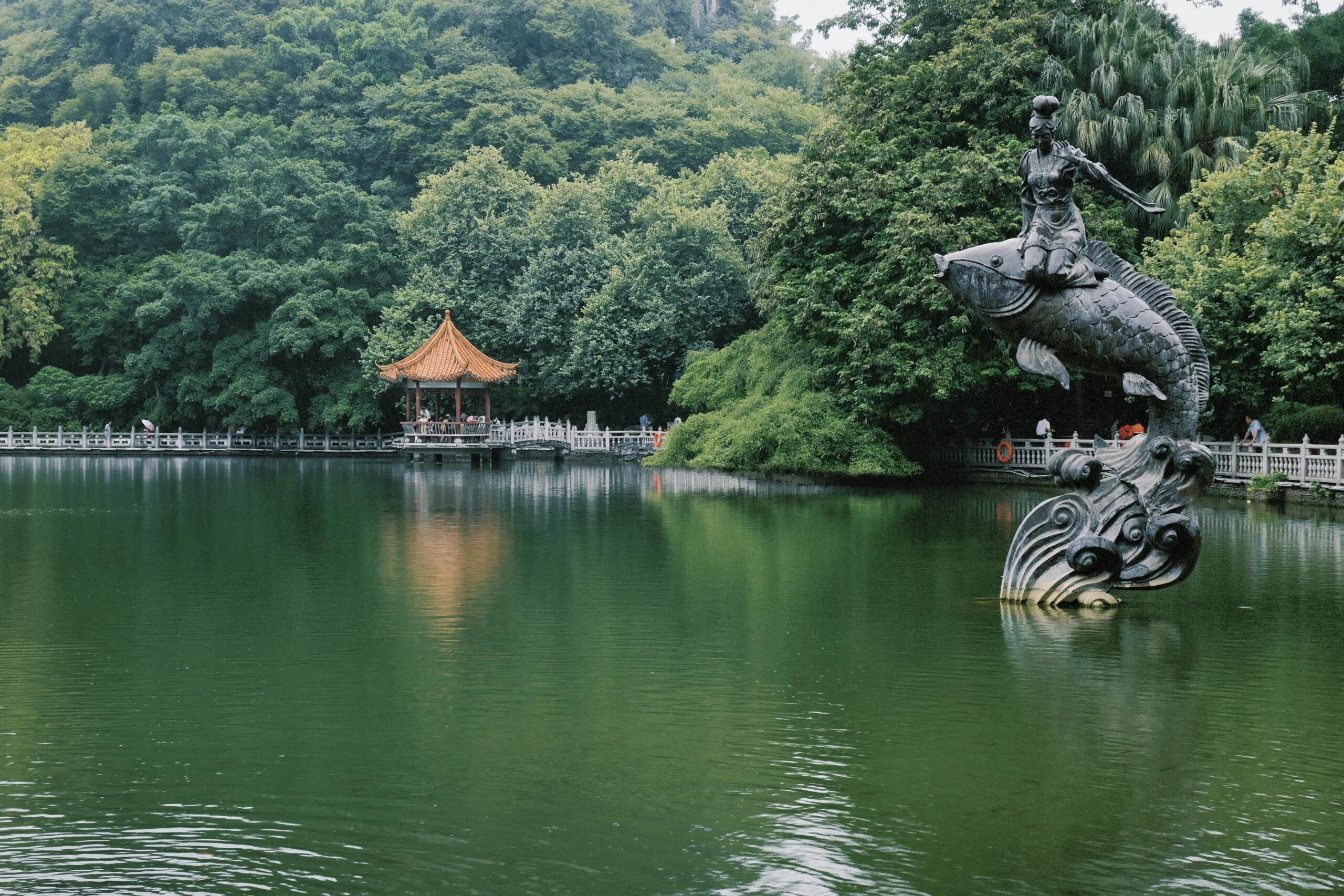 鱼峰公园旅行图片 3
