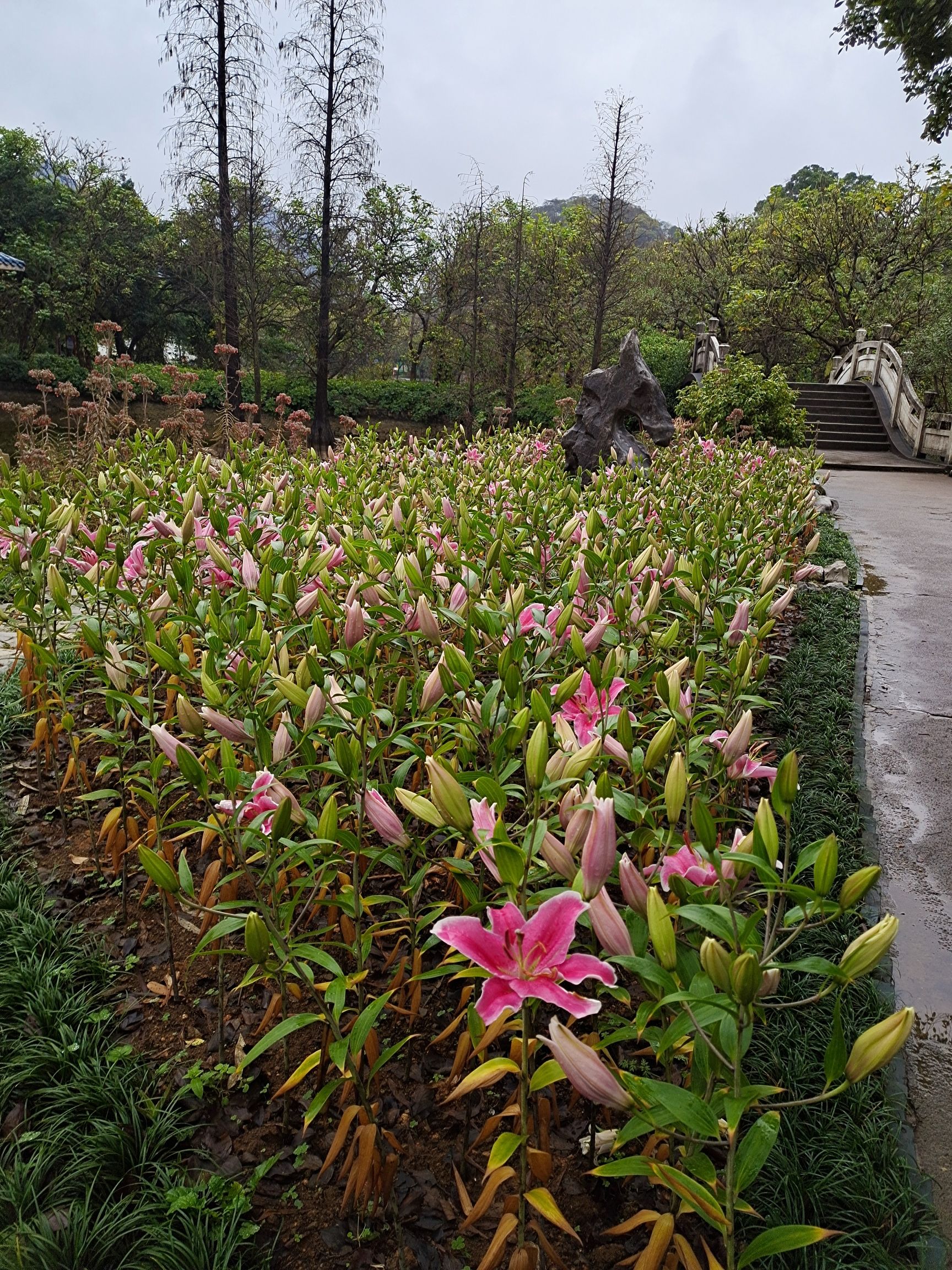 都乐公园-柳州开元寺