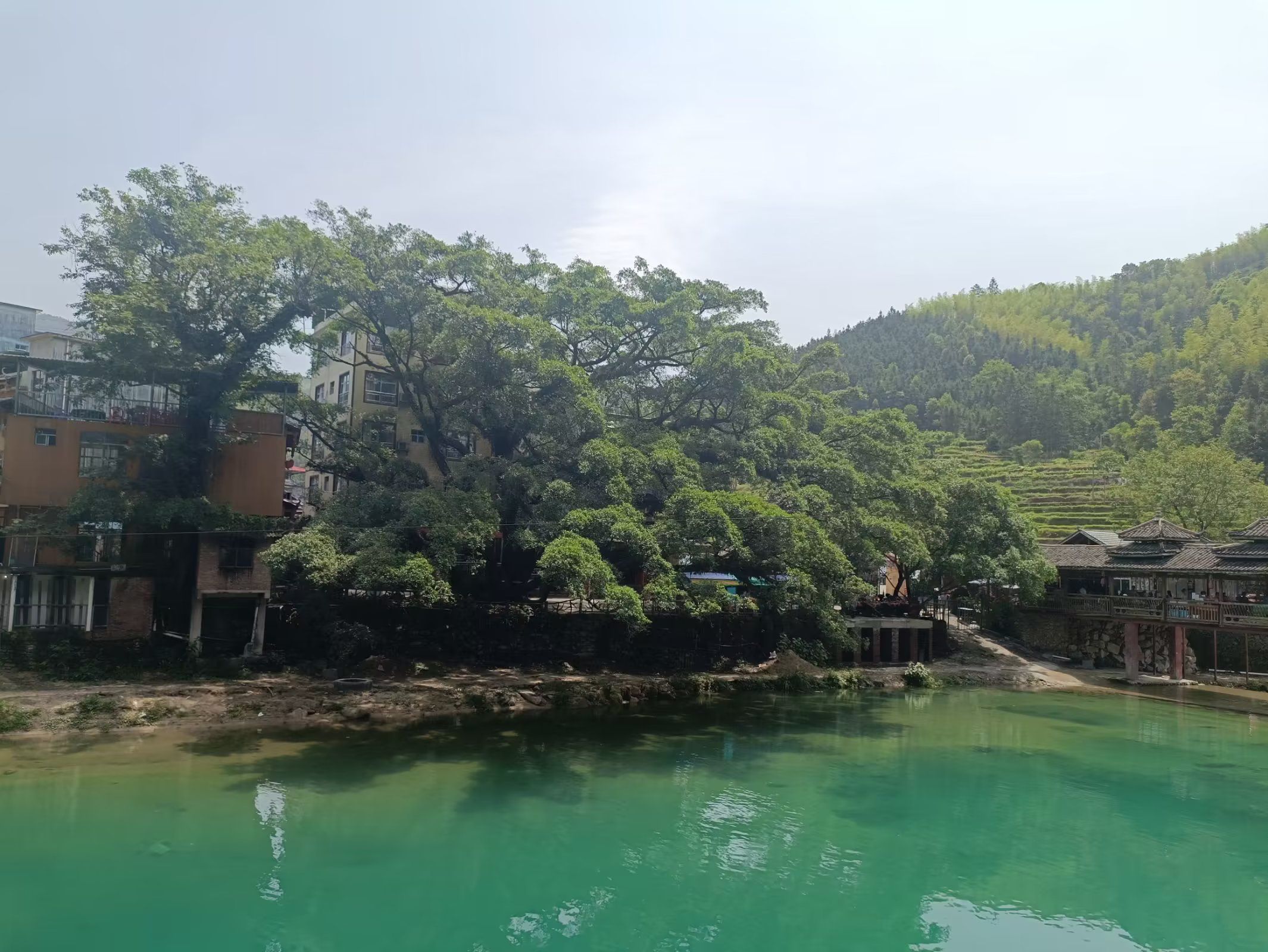 雨卜民族风情旅游度假村旅行图片 1