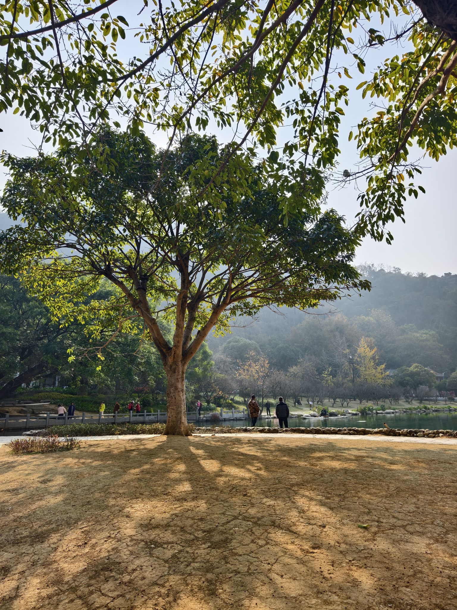 穿山景区旅行图片 2