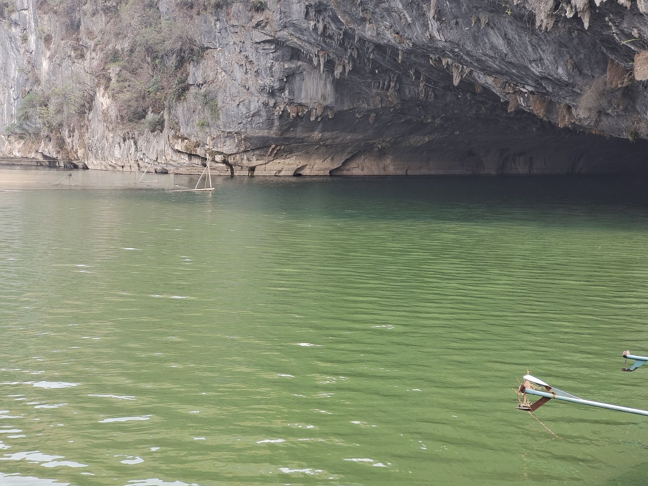 金山禅院旅行图片 2