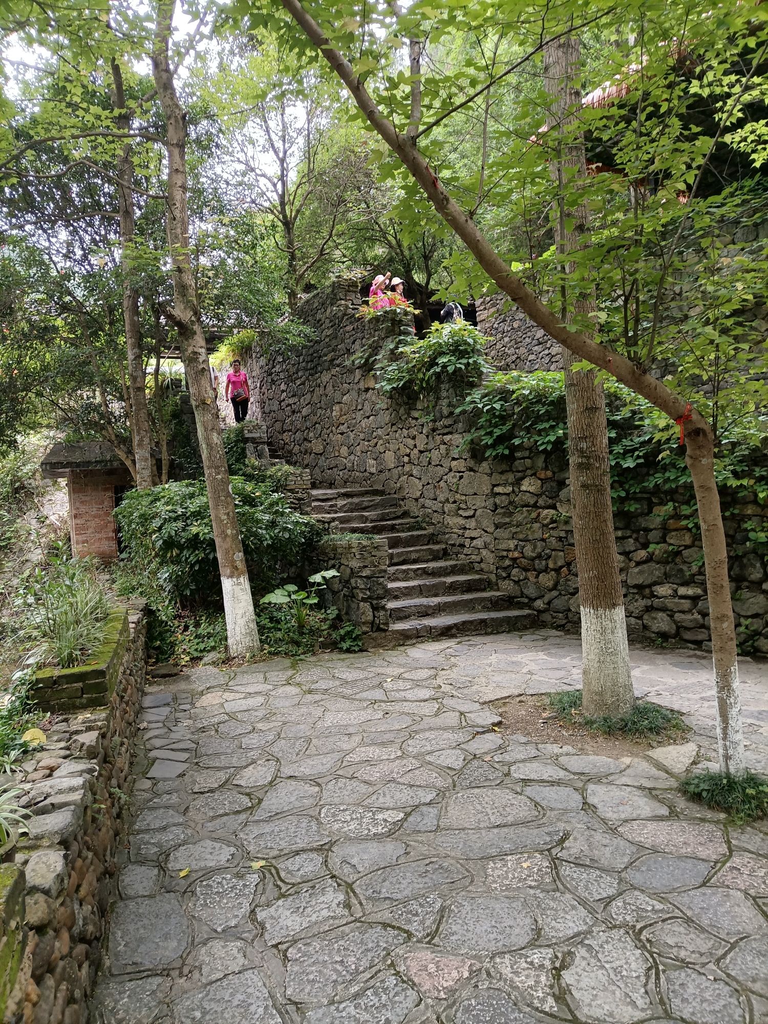 漓江古东景区旅行图片 3