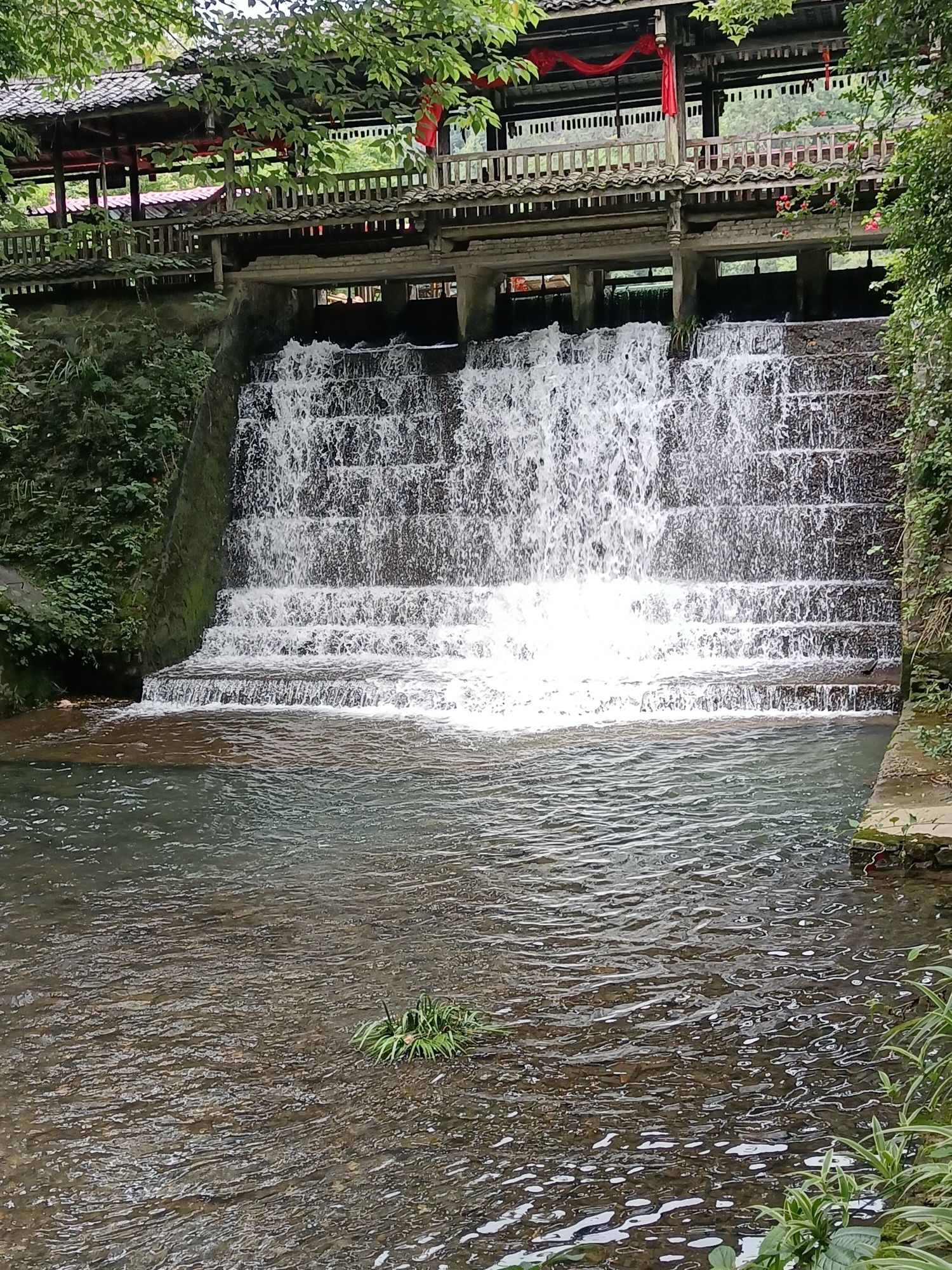 漓江古东景区旅行图片 1