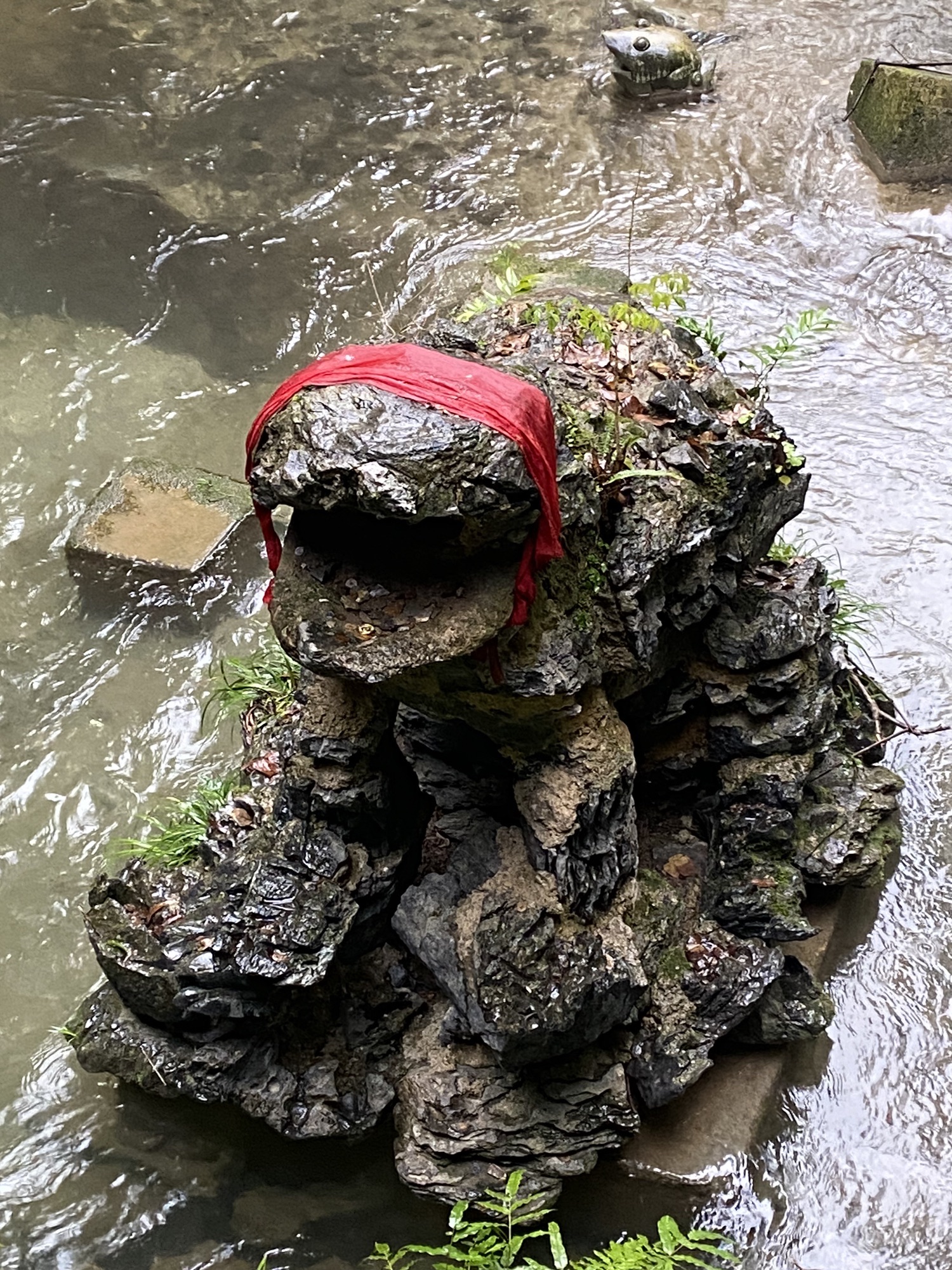 漓江古东景区旅行图片 3