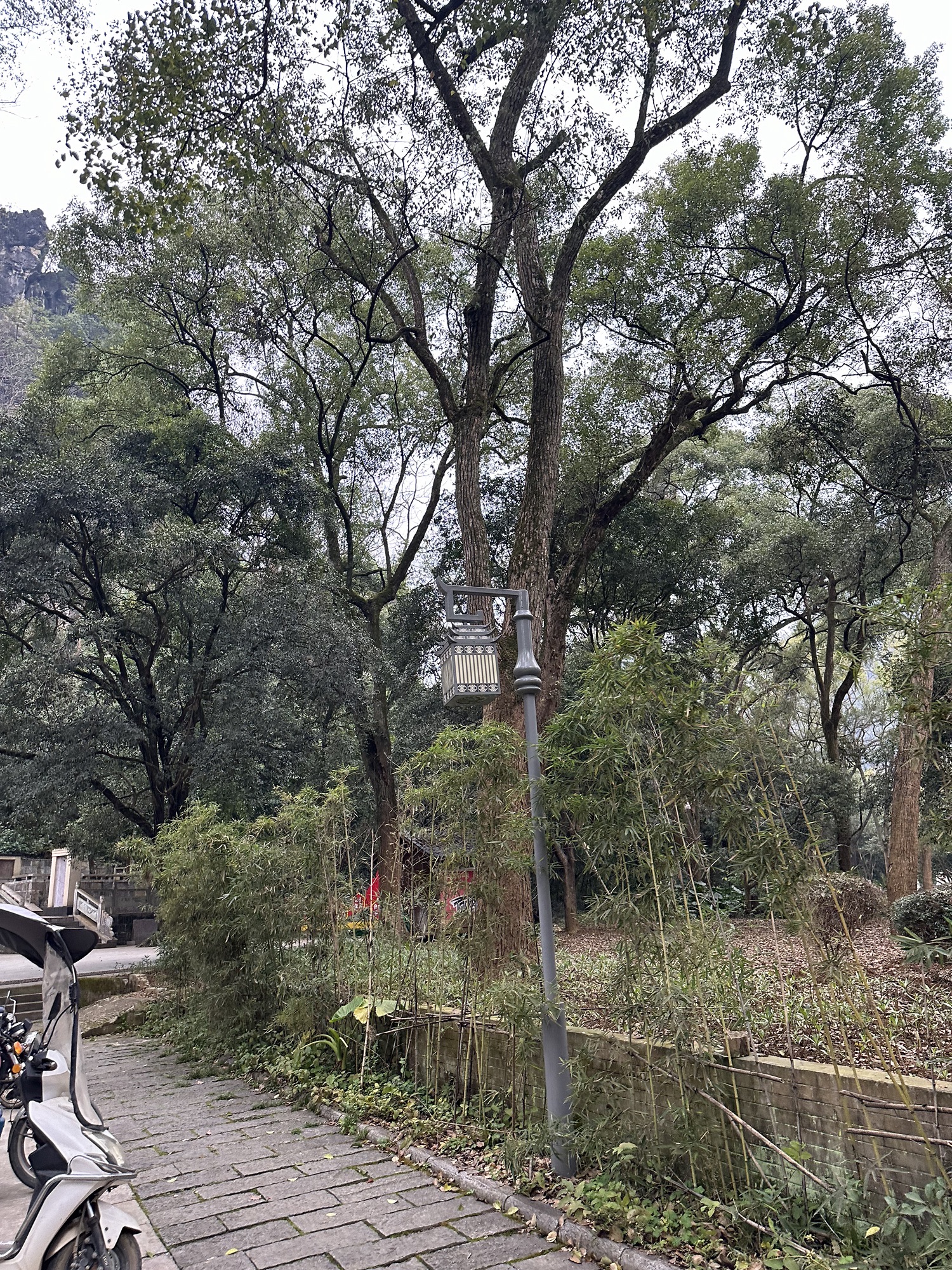 阳朔公园旅行图片 3