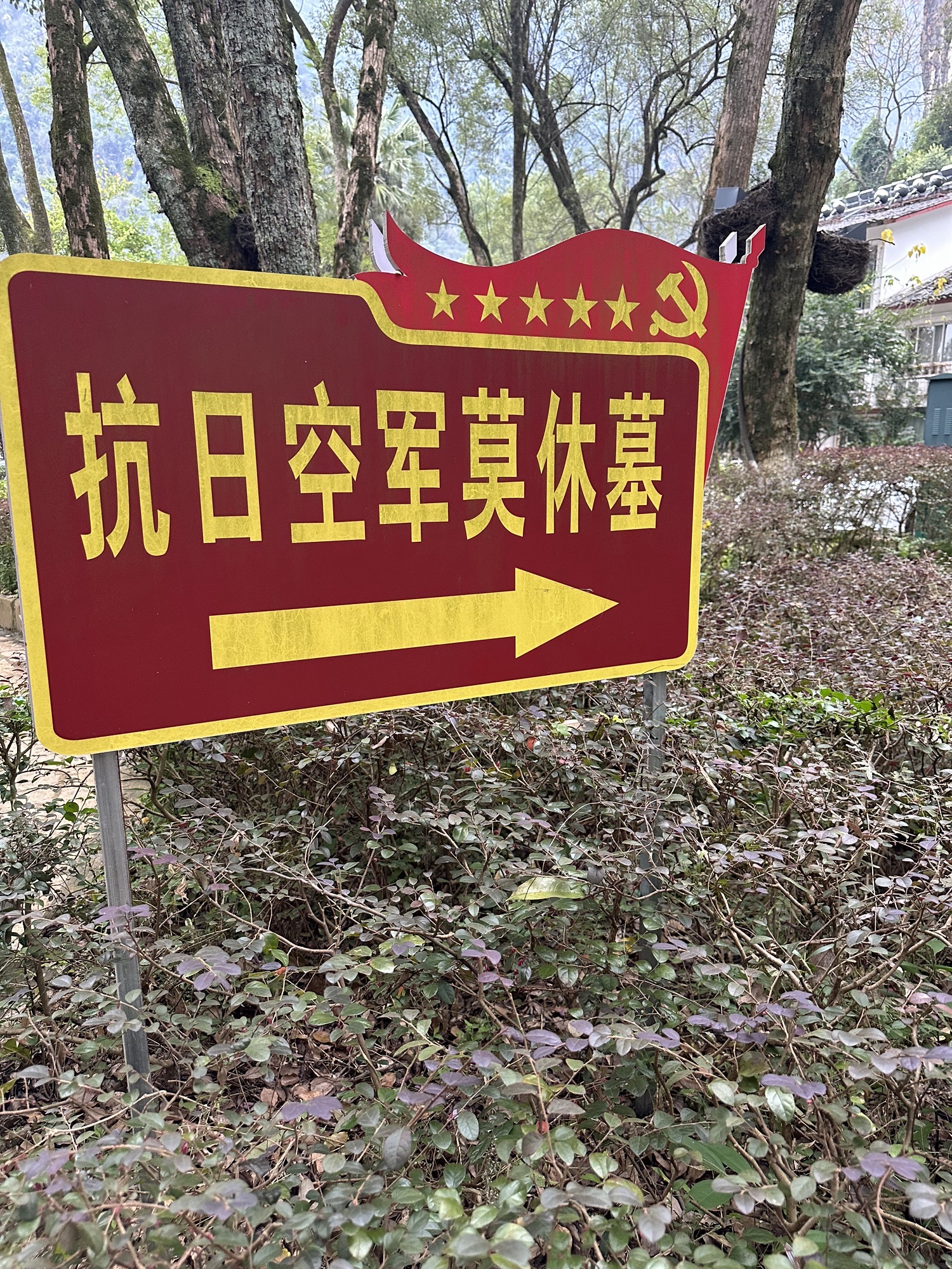 阳朔公园旅行图片 2