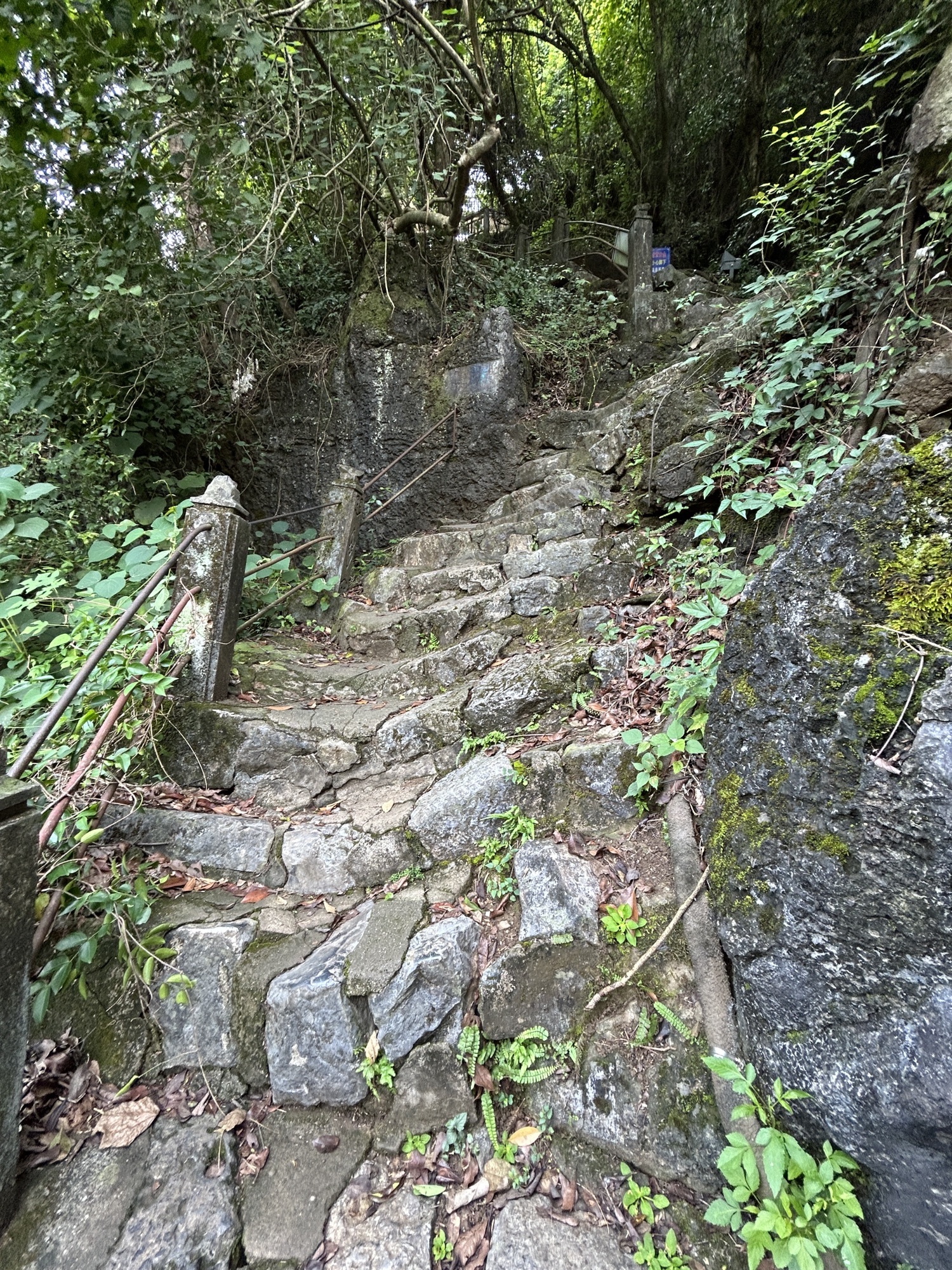 阳朔公园旅行图片 3