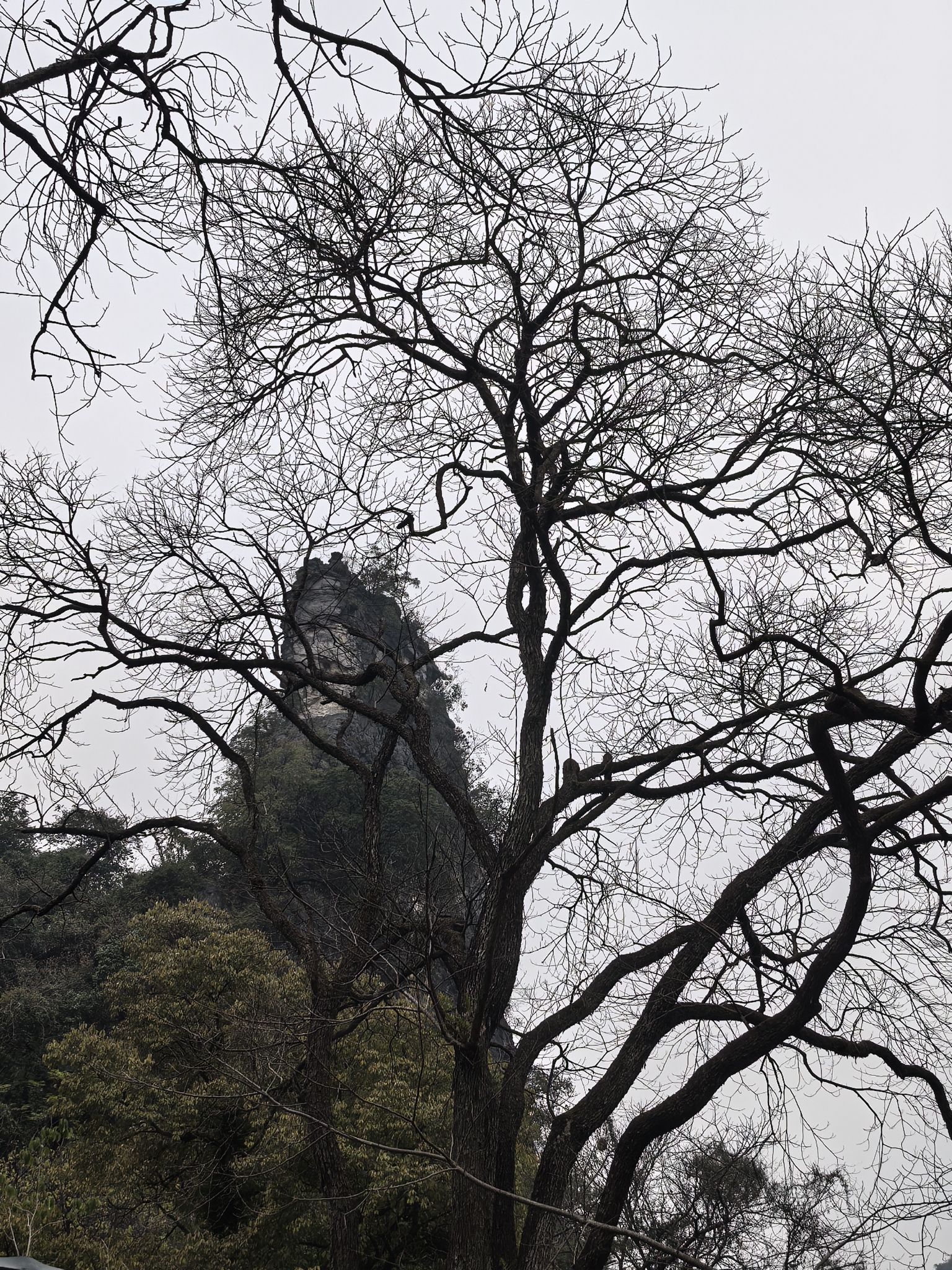 阳朔公园旅行图片 2