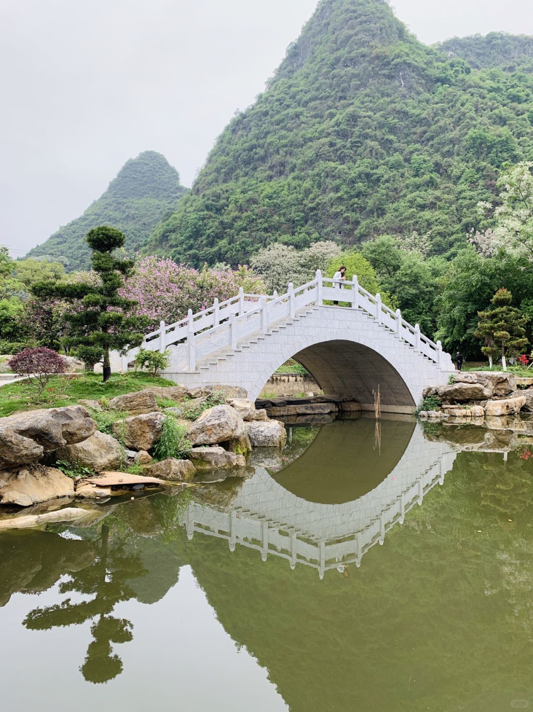阳朔公园旅行图片 2