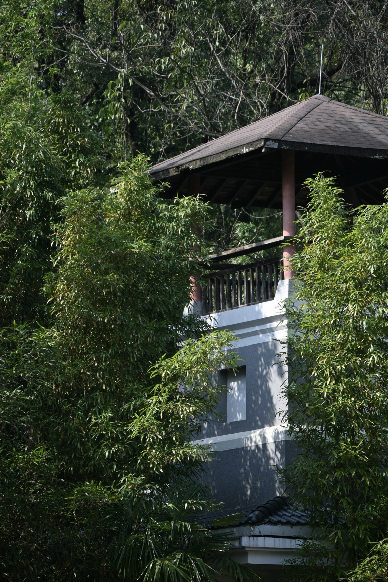 桂林园林植物园旅行图片 1