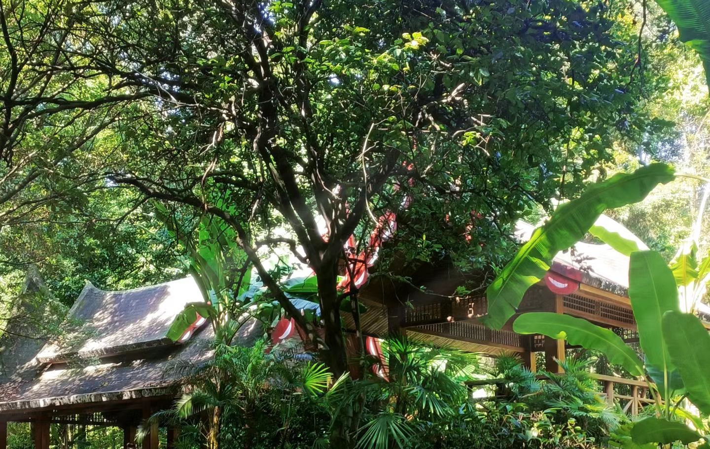 桂林园林植物园旅行图片 2
