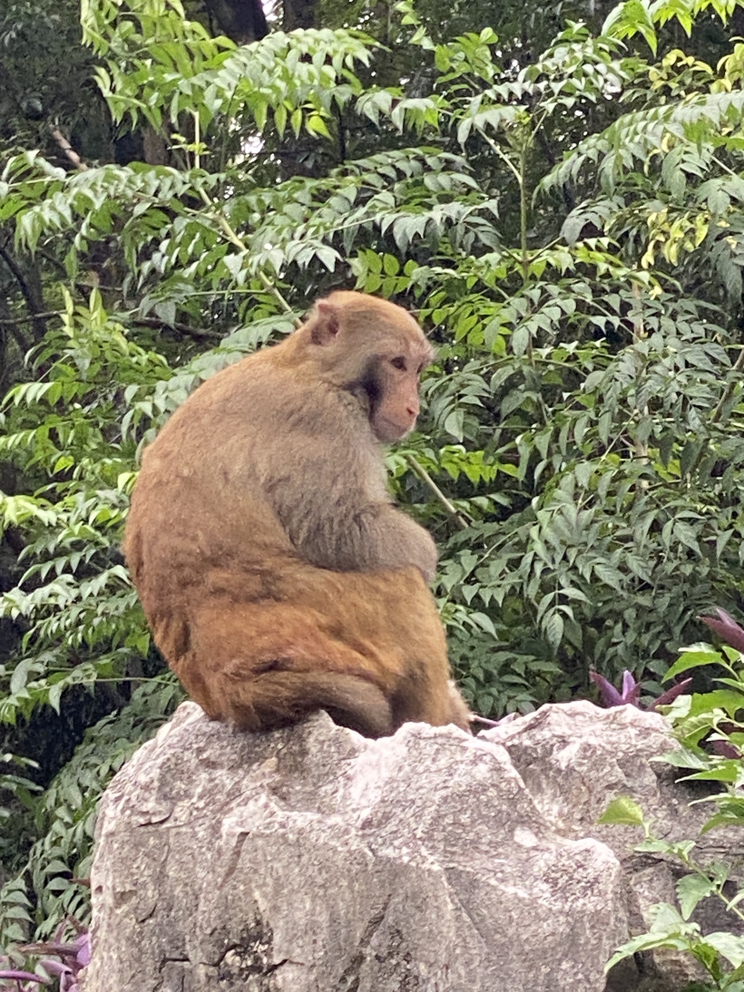七星景区旅行图片 3
