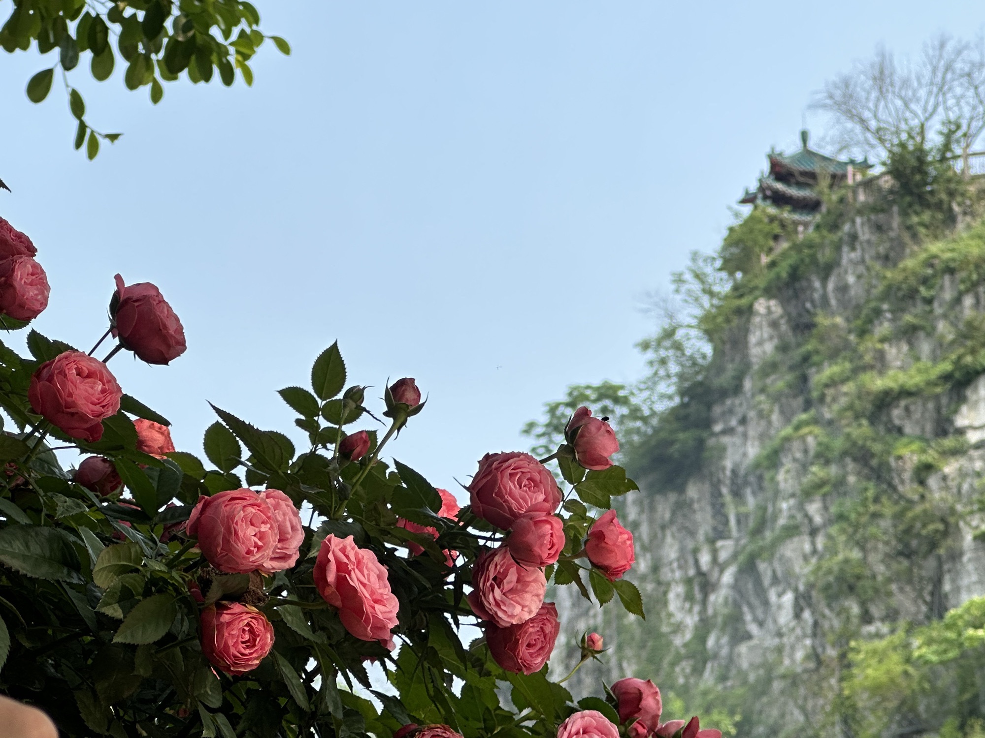 虞山公园旅行图片 3