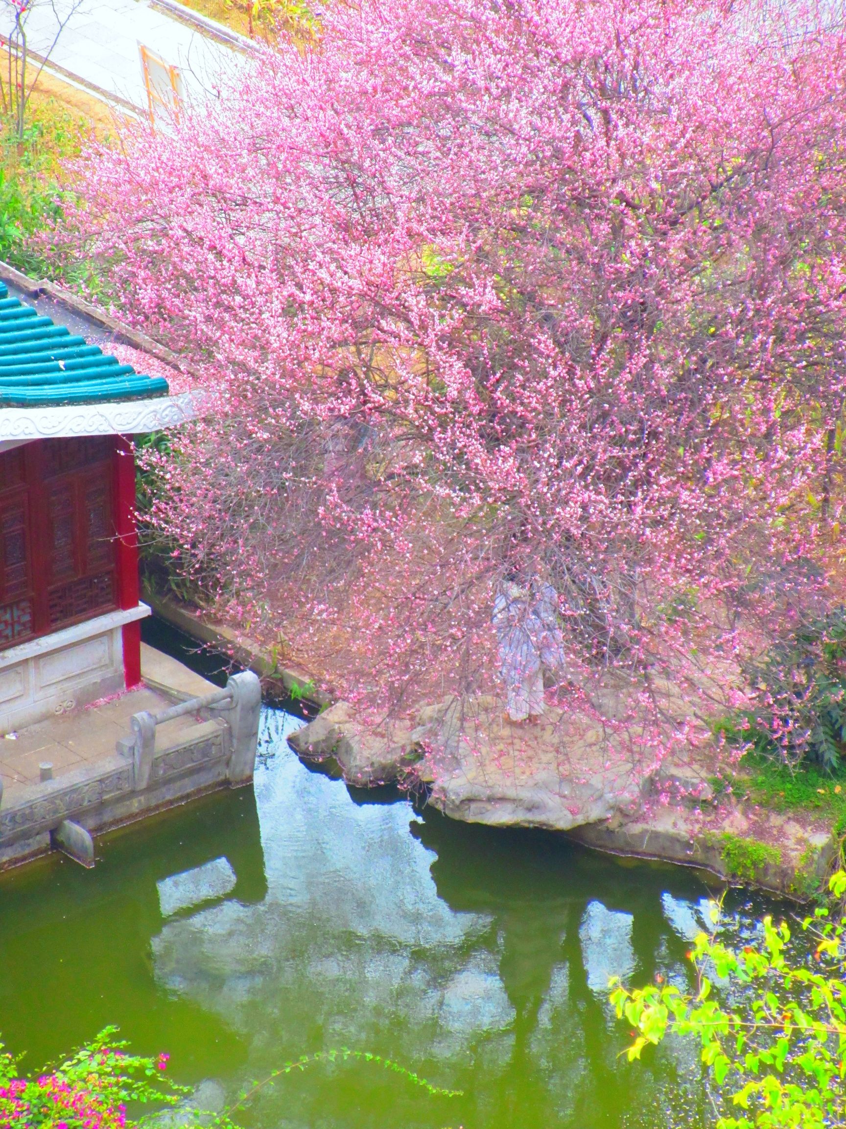 虞山公园旅行图片 3