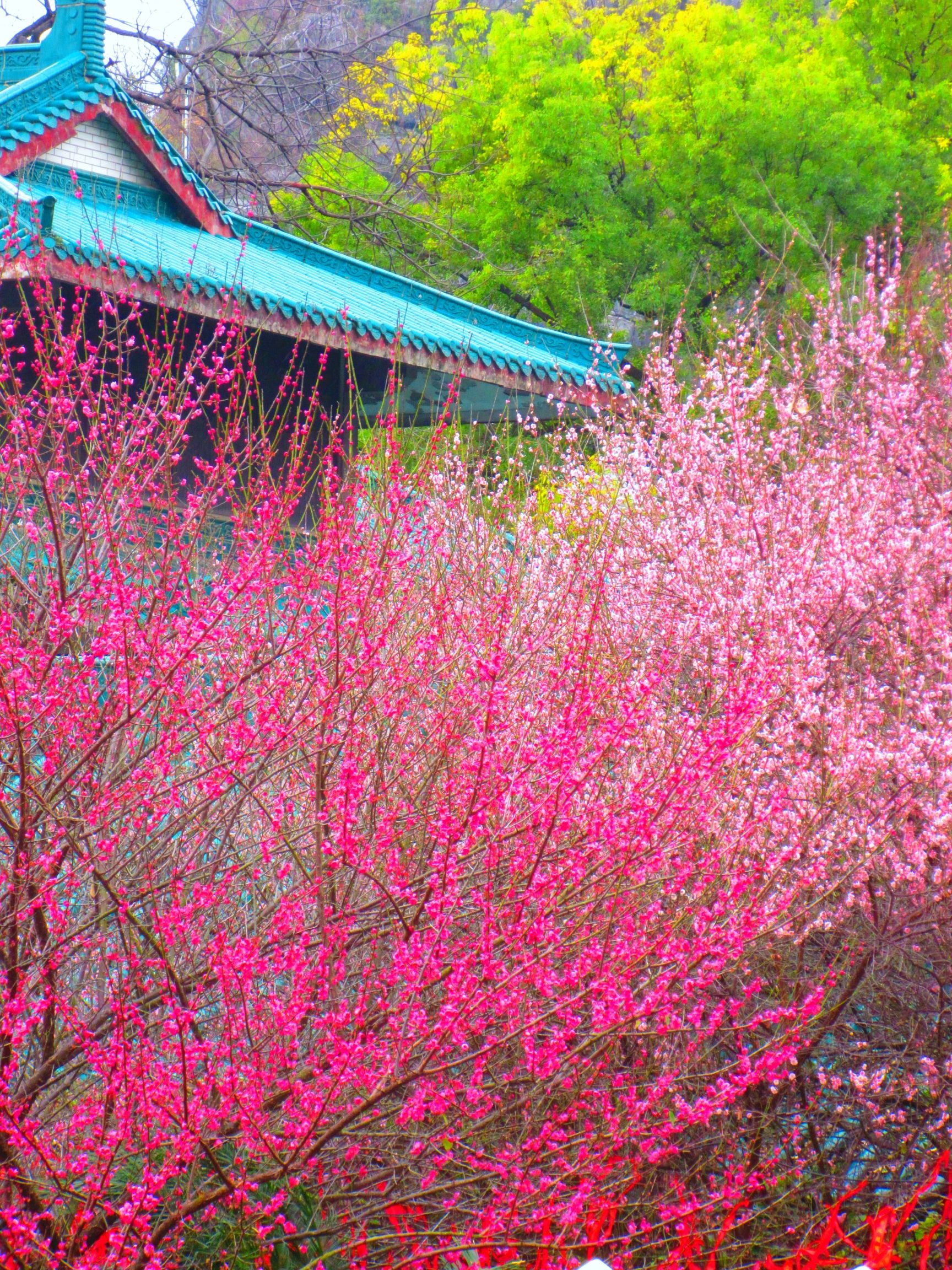 虞山公园旅行图片 2