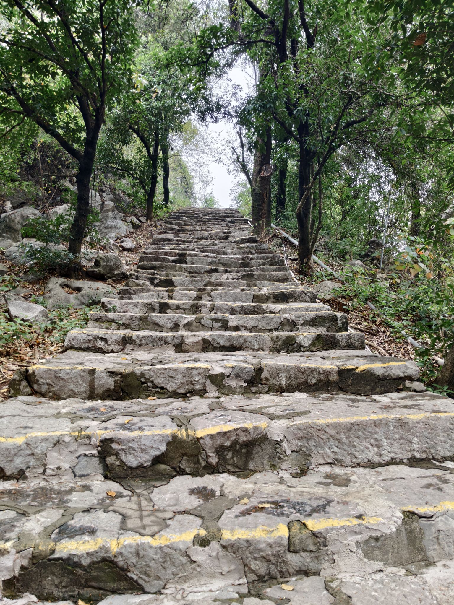 叠彩山旅行图片 2