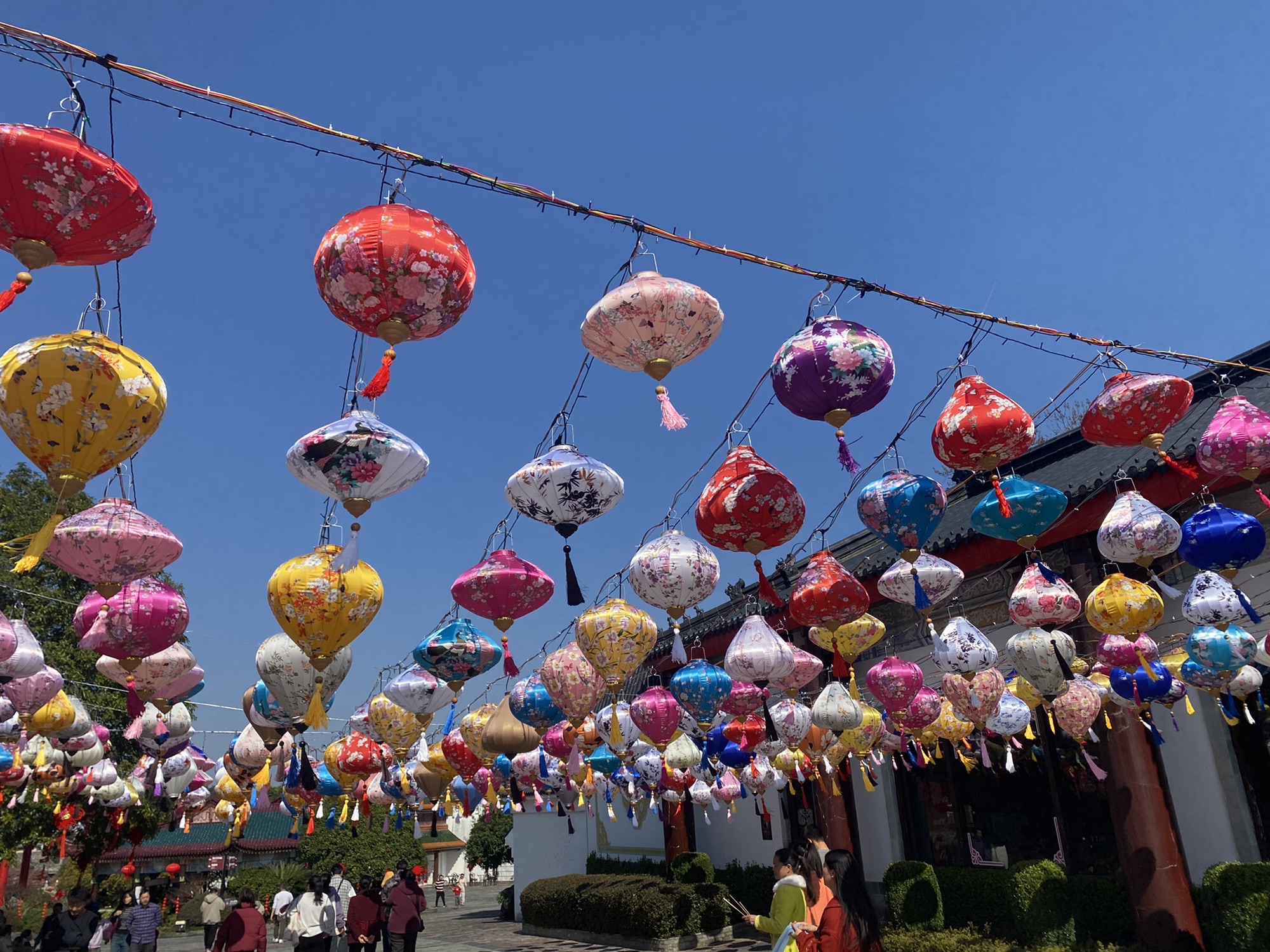 桂林乐满地主题公园(暂停开放)旅行图片 3
