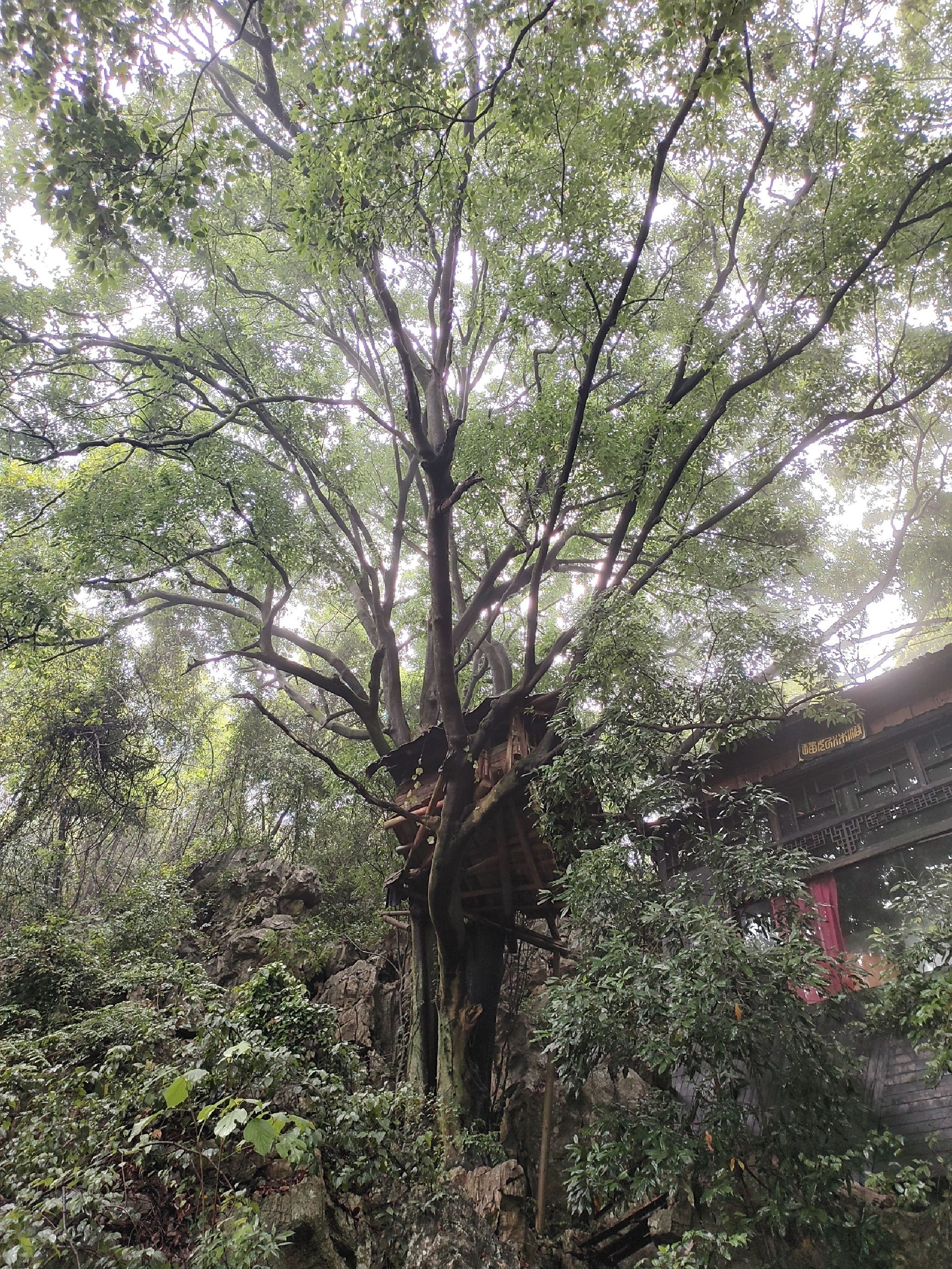 葡萄山风景区旅行图片 2