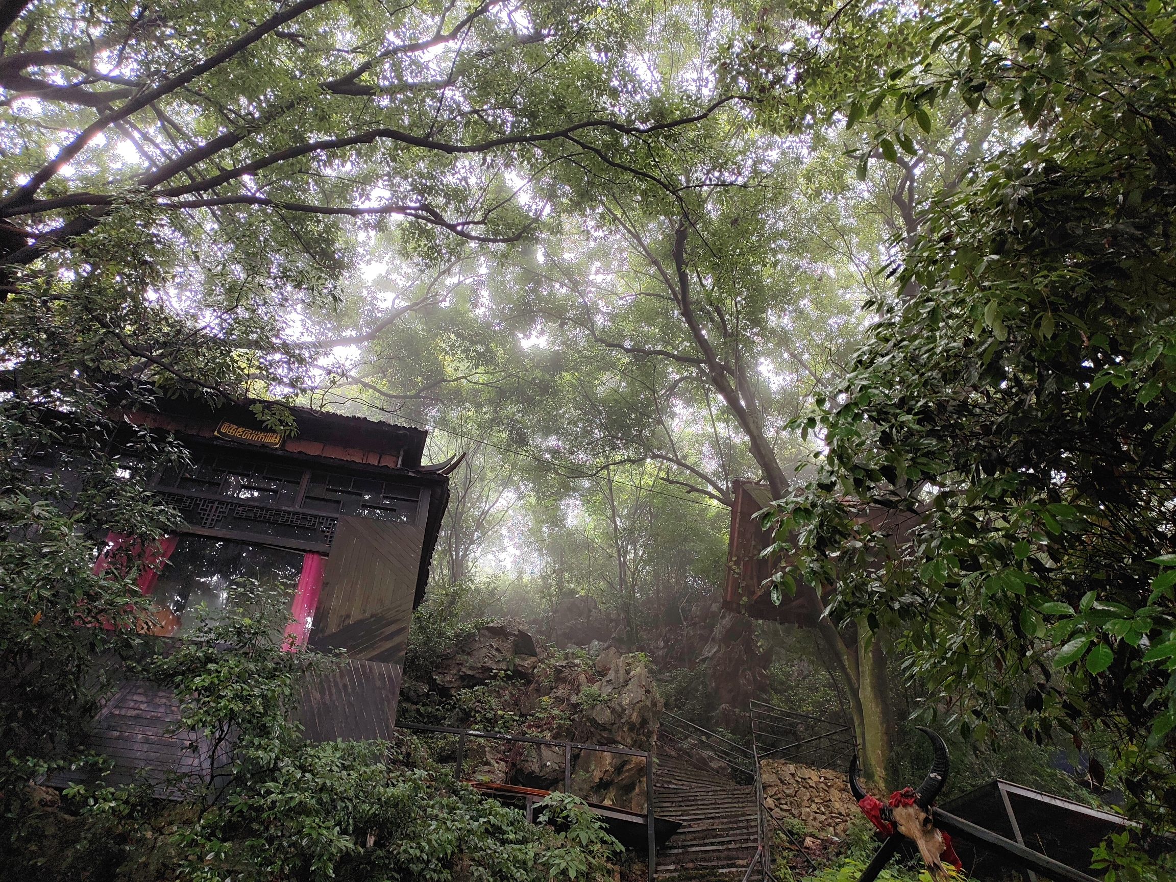 葡萄山风景区旅行图片 3