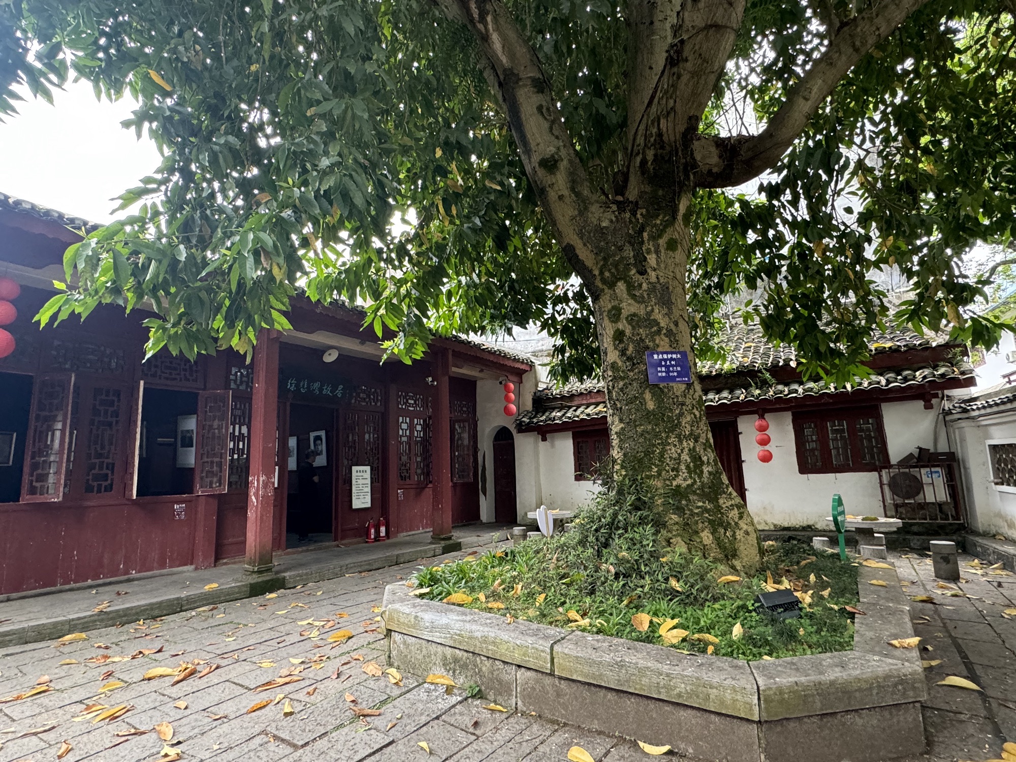 徐悲鸿故居陈列馆旅行图片 3
