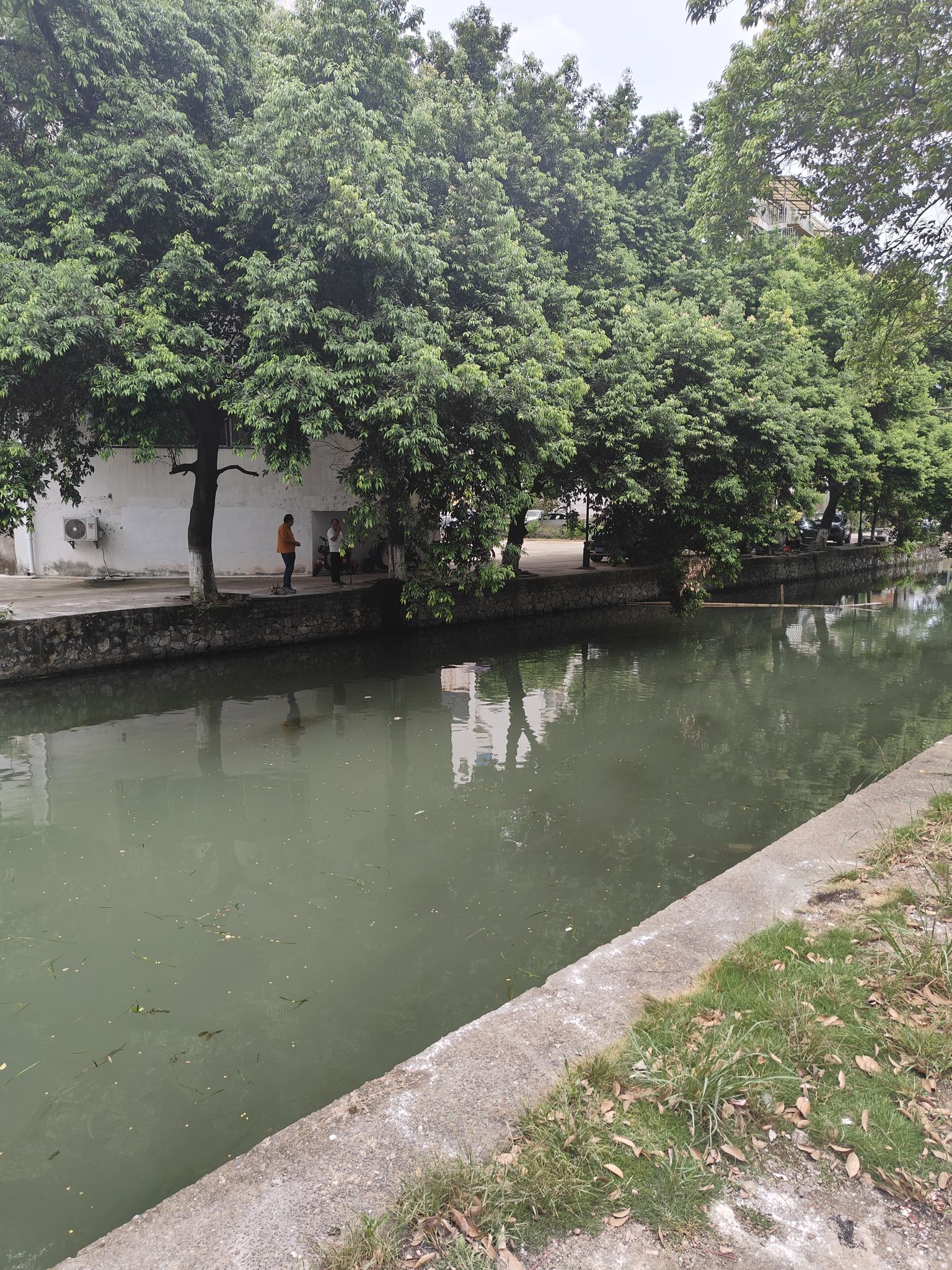 兴安灵渠景区旅行图片 3