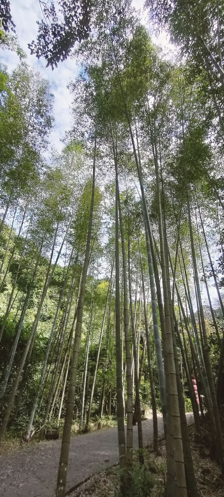 桂林红溪大峡谷旅行图片 2