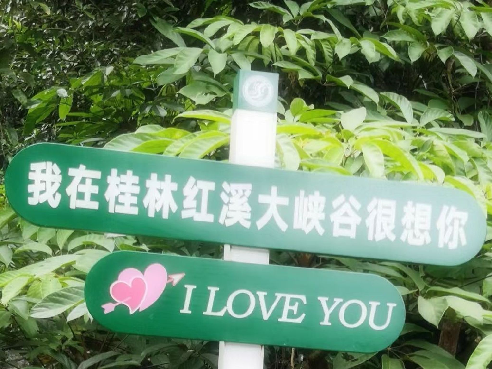 桂林红溪大峡谷旅行图片 1
