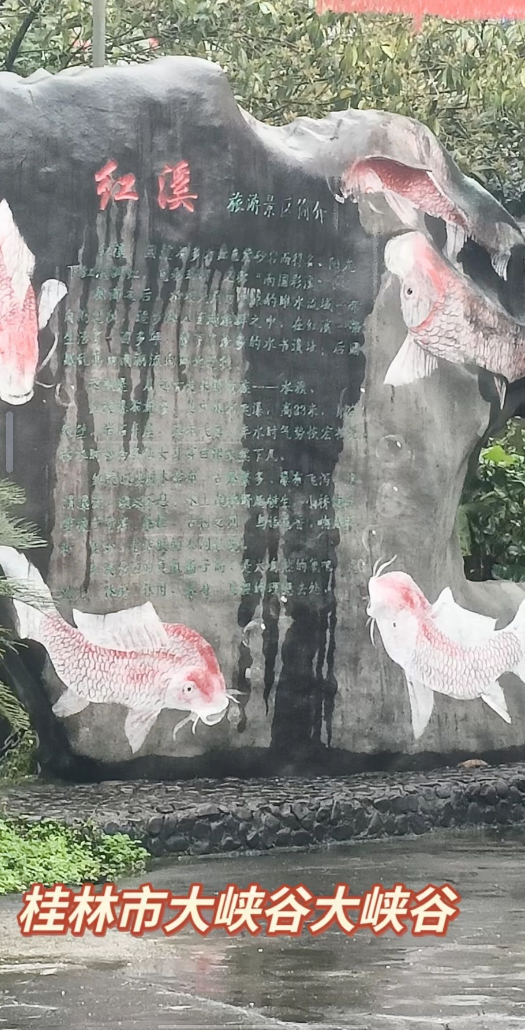 桂林红溪大峡谷旅行图片 1