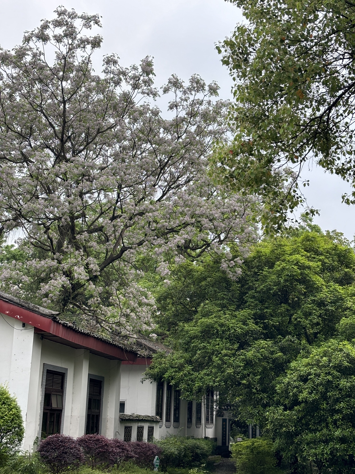 雁山园旅行图片 2